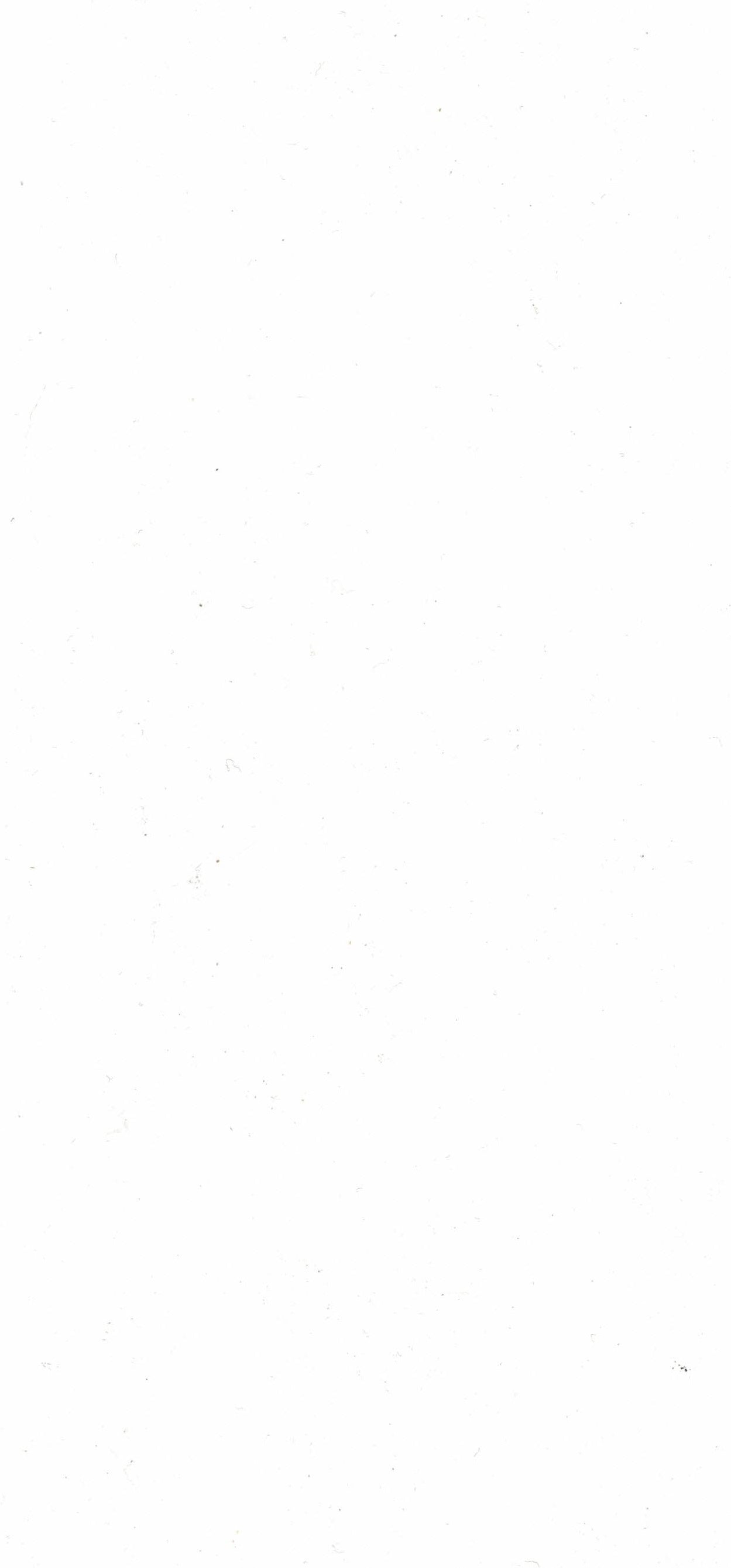 LX1032 White Plain Colors Gloss Laminate - AmulyaMica