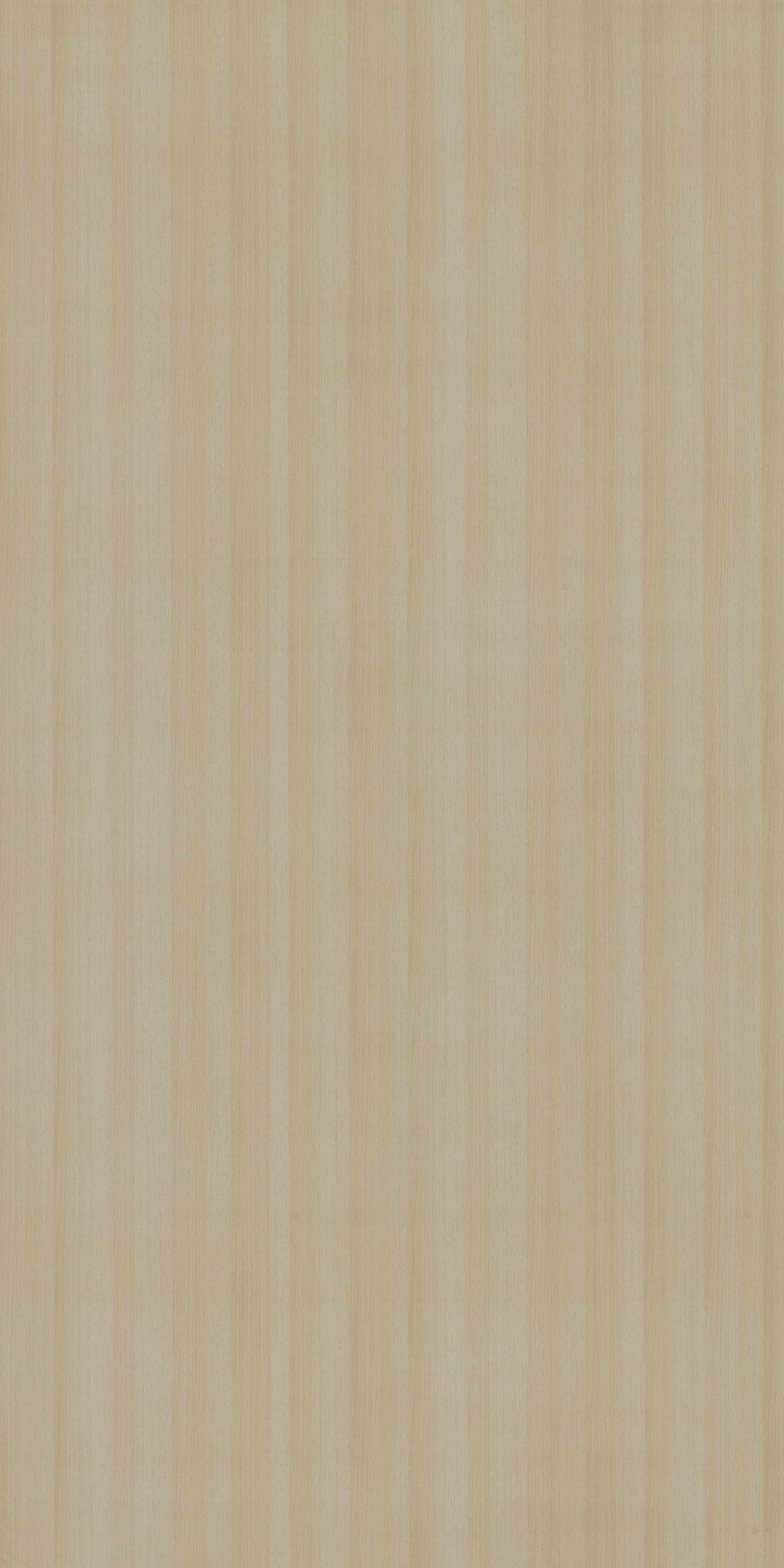 PS 2013 SF WHITE BEECH Beige Wood Suede Laminate - AmulyaMica