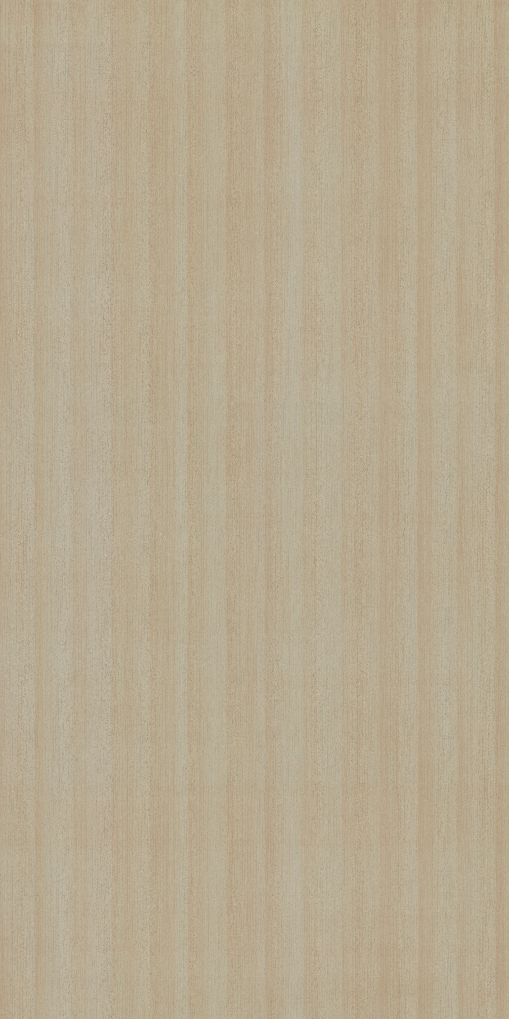 PS 2013 SF WHITE BEECH Beige Wood Suede Laminate - AmulyaMica