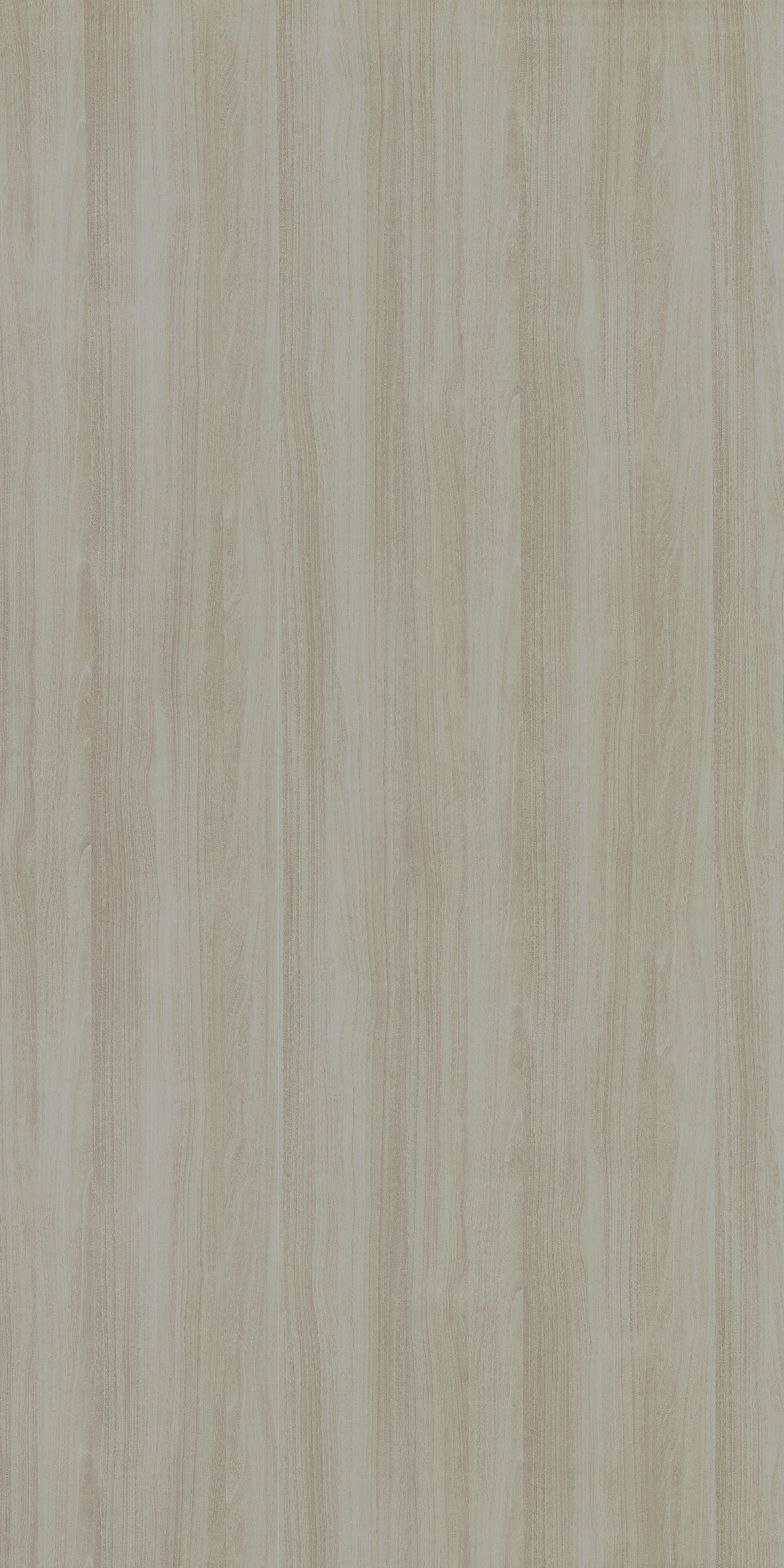 PS 2016 SF WYOMING MAPLE WHITE Beige Wood Suede Laminate - AmulyaMica