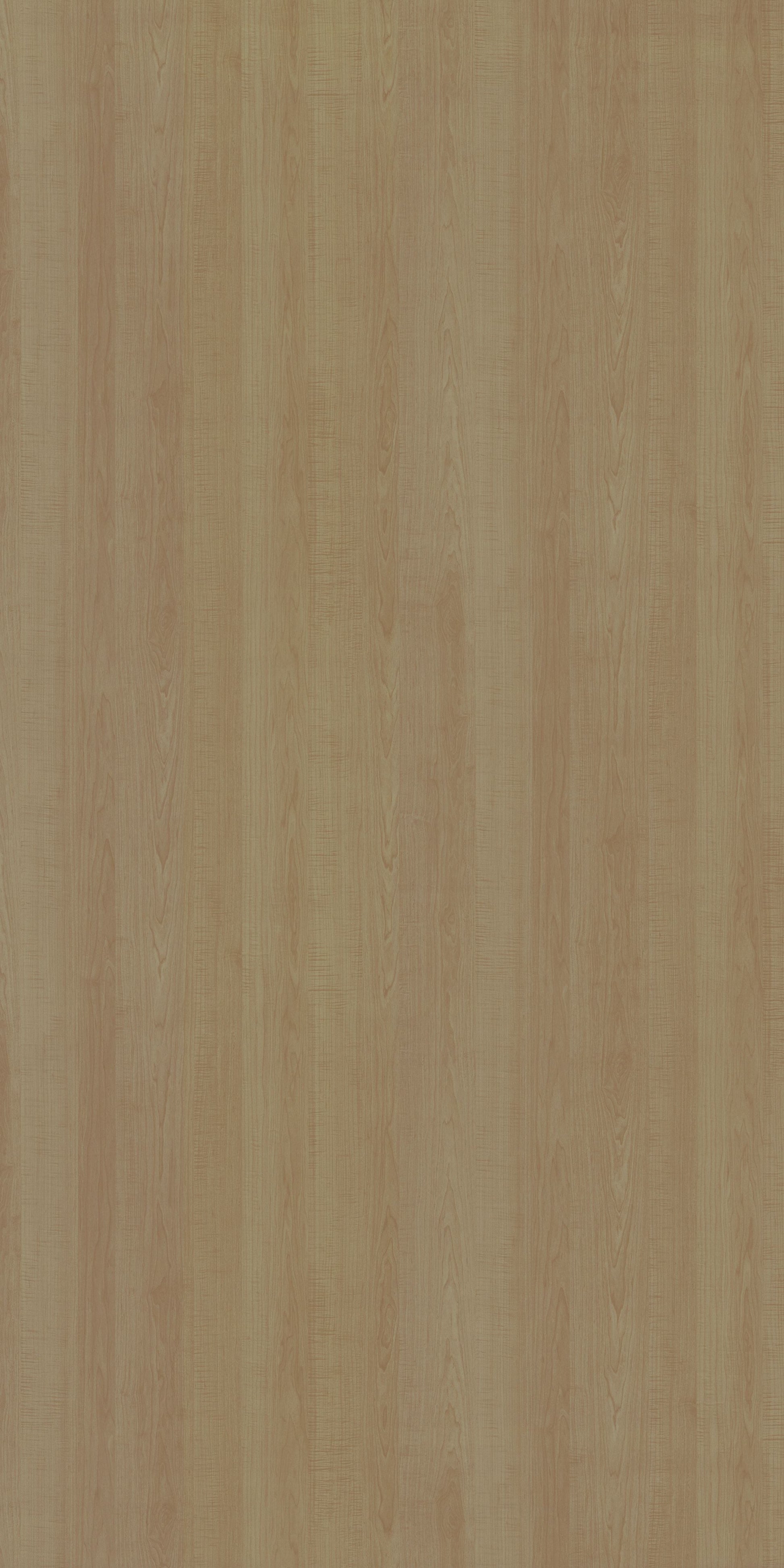 PS 2017 SF ALBERTO MAPLE Beige Wood Suede Laminate - AmulyaMica