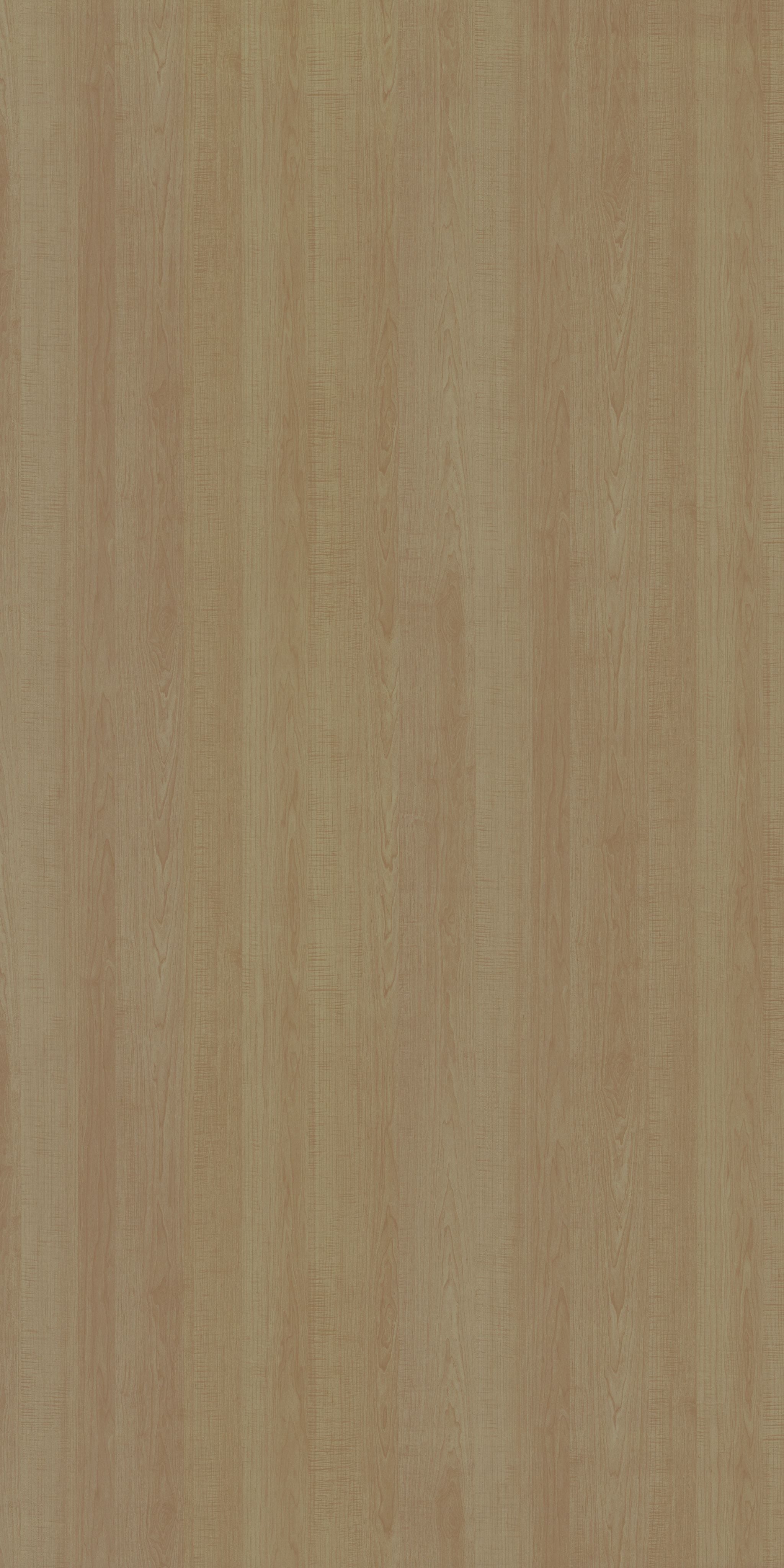 PS 2017 SF ALBERTO MAPLE Beige Wood Suede Laminate - AmulyaMica