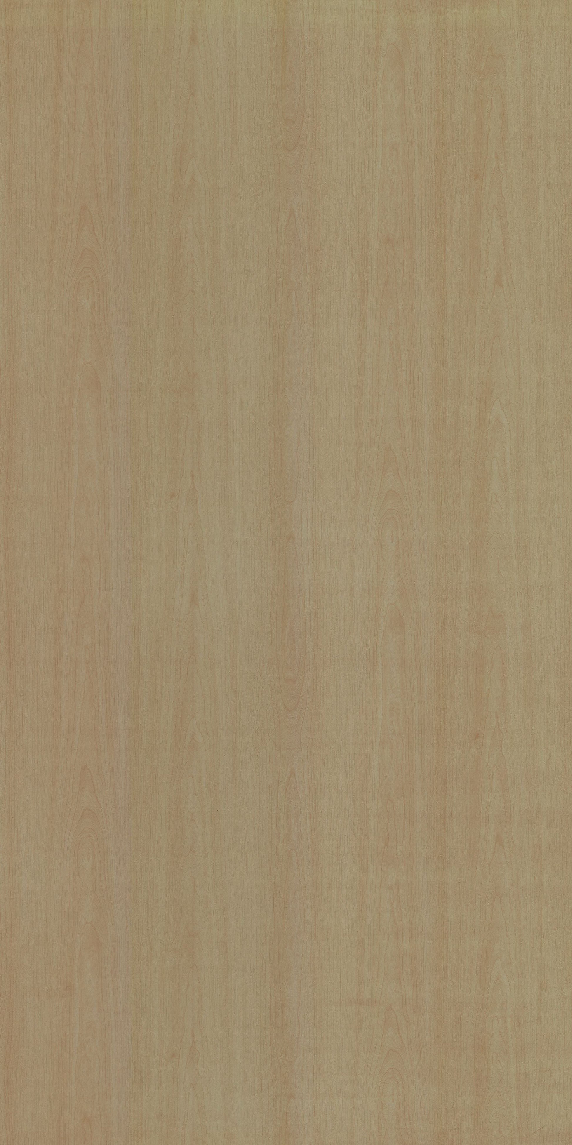 PS 2026 SF FUSION MAPLE Beige Wood Suede Laminate - AmulyaMica