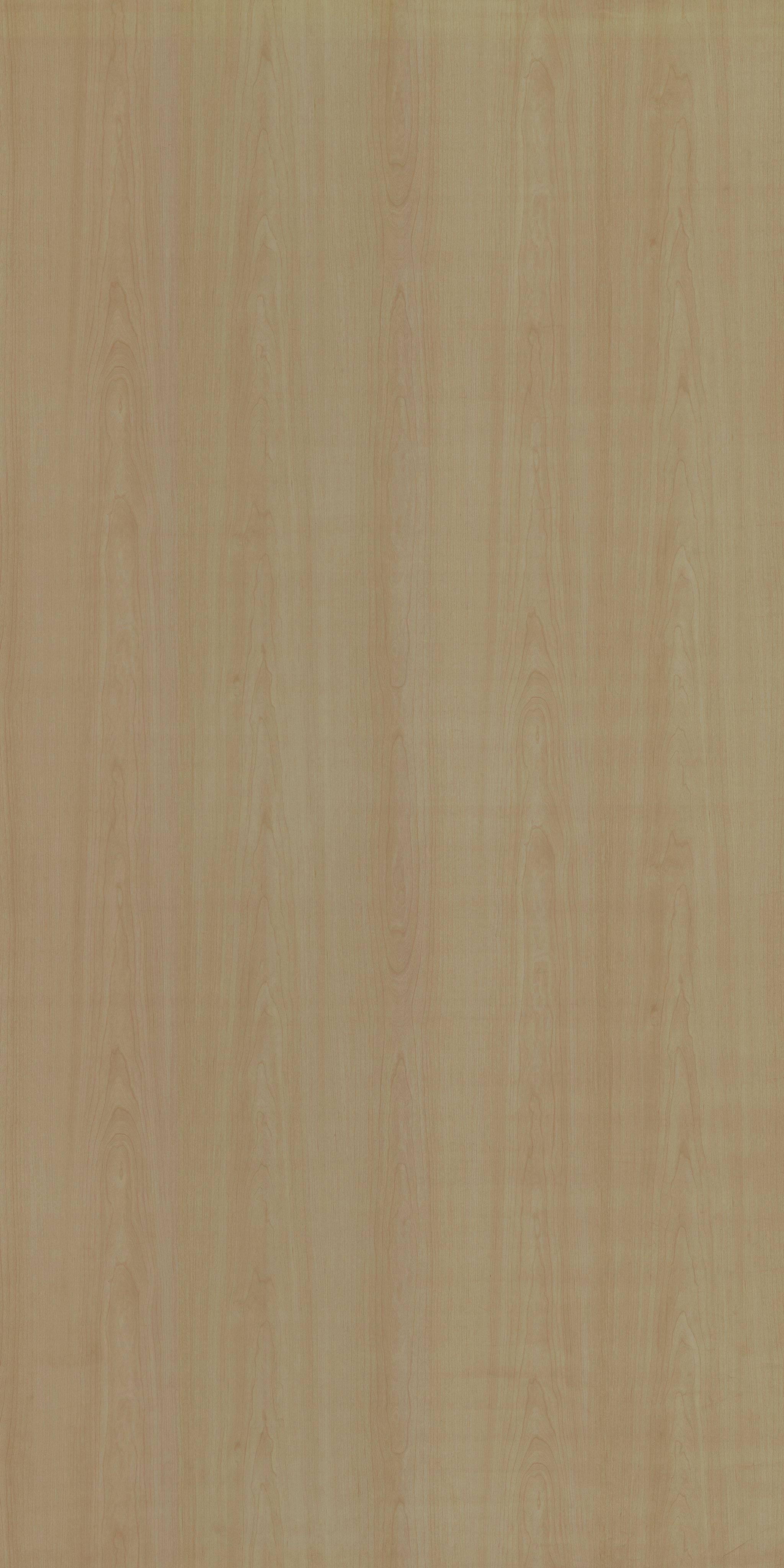 PS 2026 SF FUSION MAPLE Beige Wood Suede Laminate - AmulyaMica