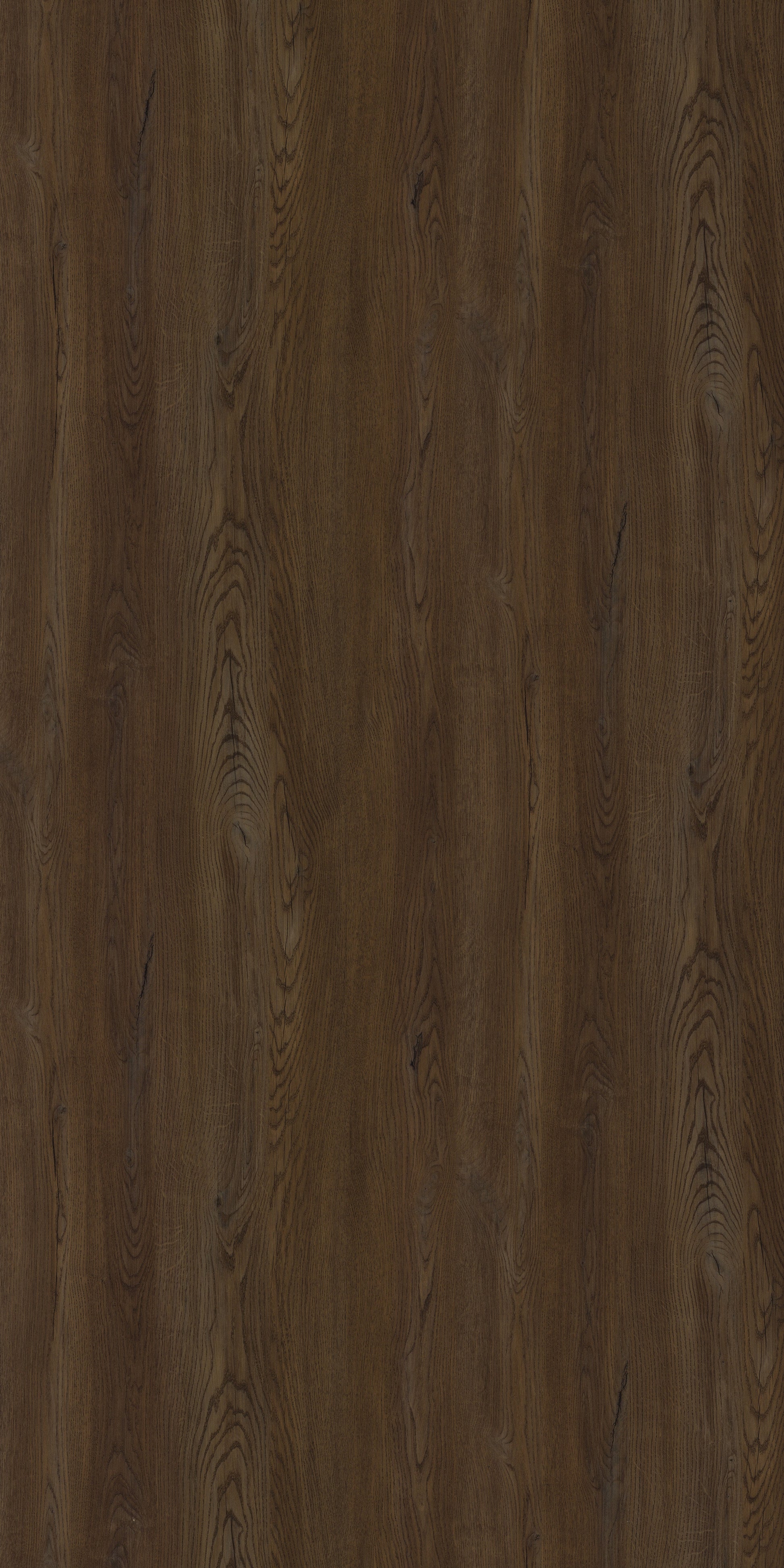 PS 3353 DV EUROPEAN OAK BROWN Brown Wood Gloss Laminate - AmulyaMica