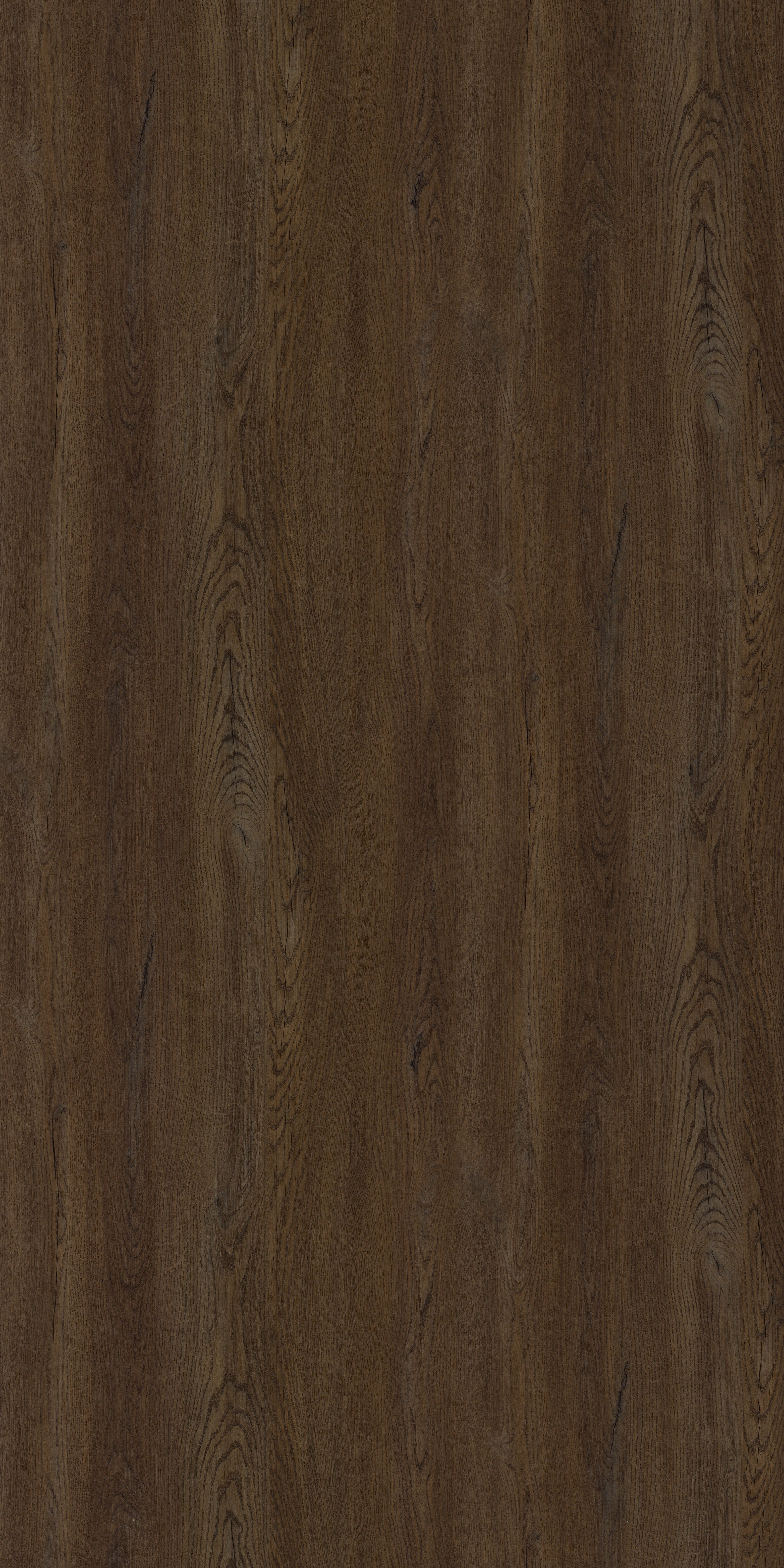 PS 3353 DV EUROPEAN OAK BROWN Brown Wood Gloss Laminate - AmulyaMica