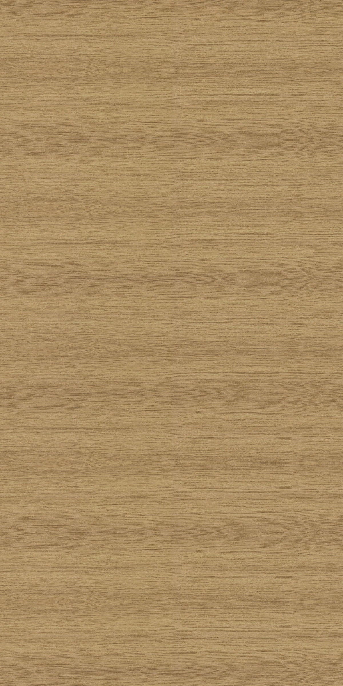 PS 3396 SF Misty Genesis Oak Laminate | AmulyaMica – Next Level Decor ...