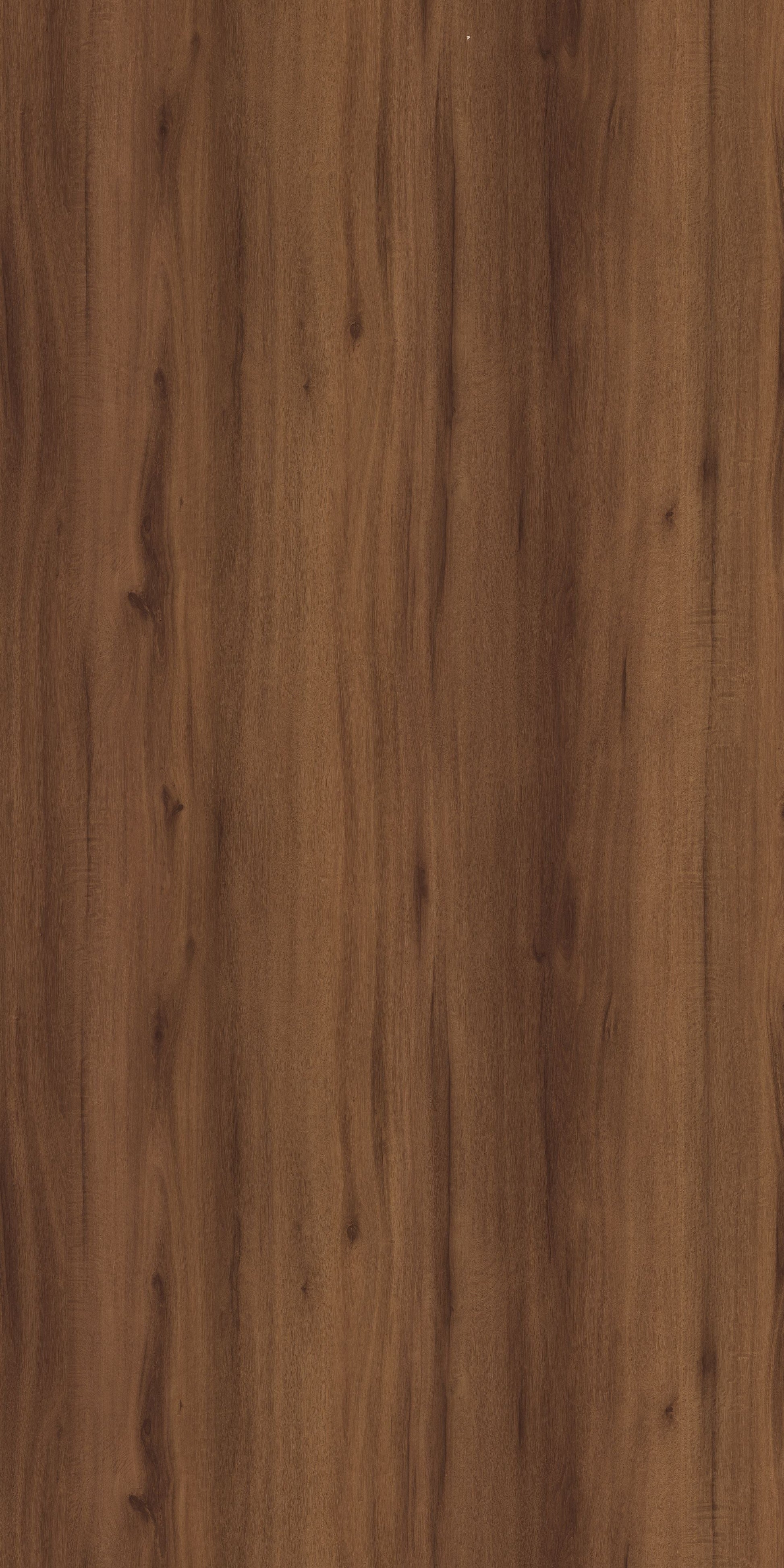 PS 5123 SF ORNATE ELM Brown Wood Suede Laminate - AmulyaMica