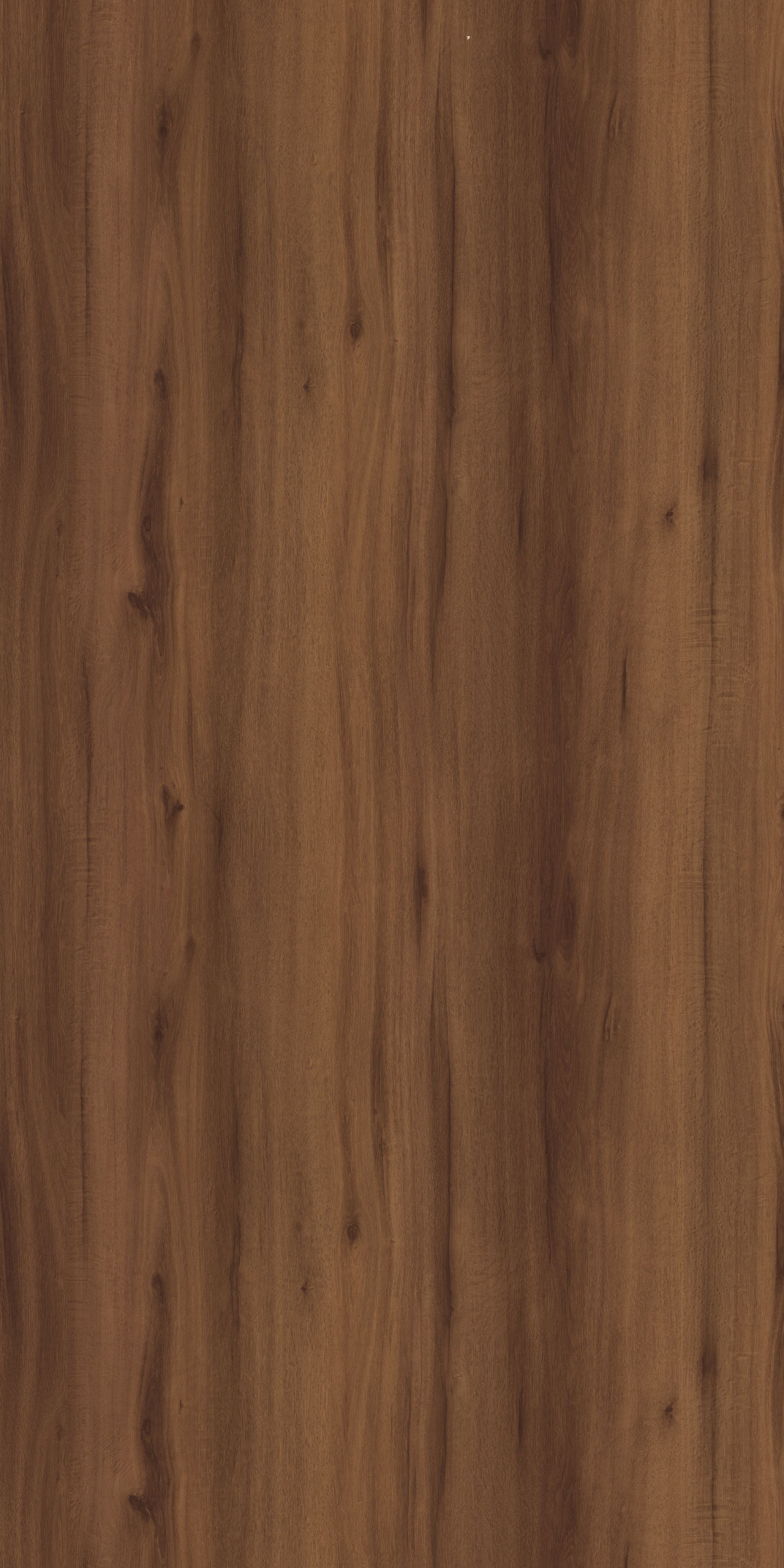 PS 5123 SF ORNATE ELM Brown Wood Suede Laminate - AmulyaMica
