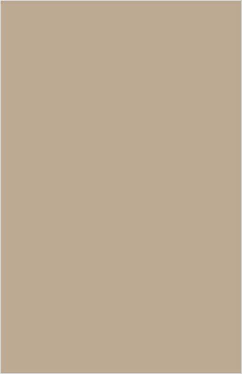 ASAA 17105 Plain Colors Laminate 8*4 ft Texture 1.0 mm - ASA-17105