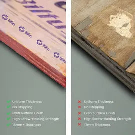 BILTUS 7 ft. x 4 ft. 12 mm MR Plywood Beige Wood Natural Veneer - BILTUS