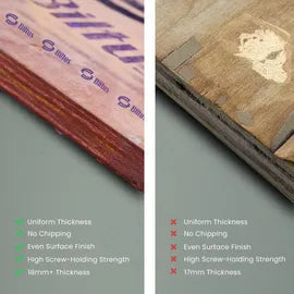 BILTUS 8 ft. x 4 ft. 18 mm MR Plywood Beige Wood Natural Veneer - BILTUS