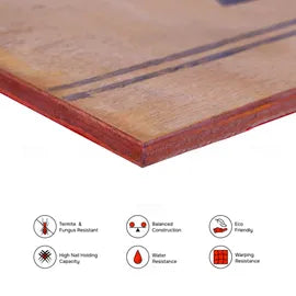 BILTUS 7 ft. x 4 ft. 8 mm MR Plywood Brown Wood Natural Veneer - BILTUS