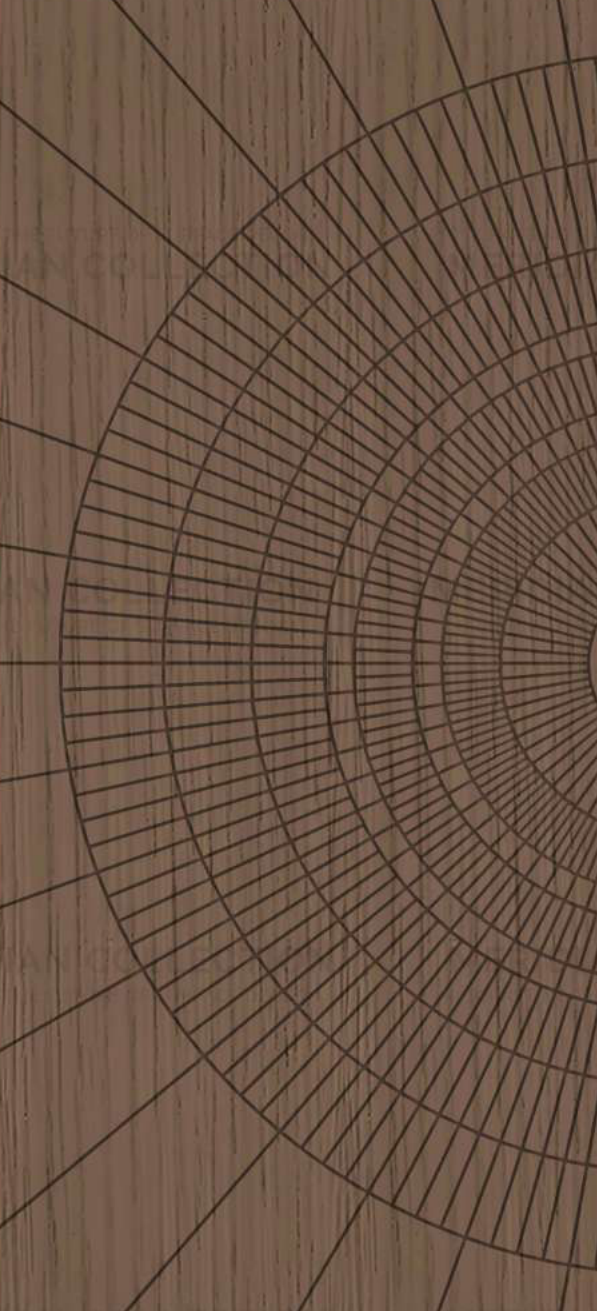 Meridian Bookmatch LA 260/975 Rich Walnut bookmatched wall panel