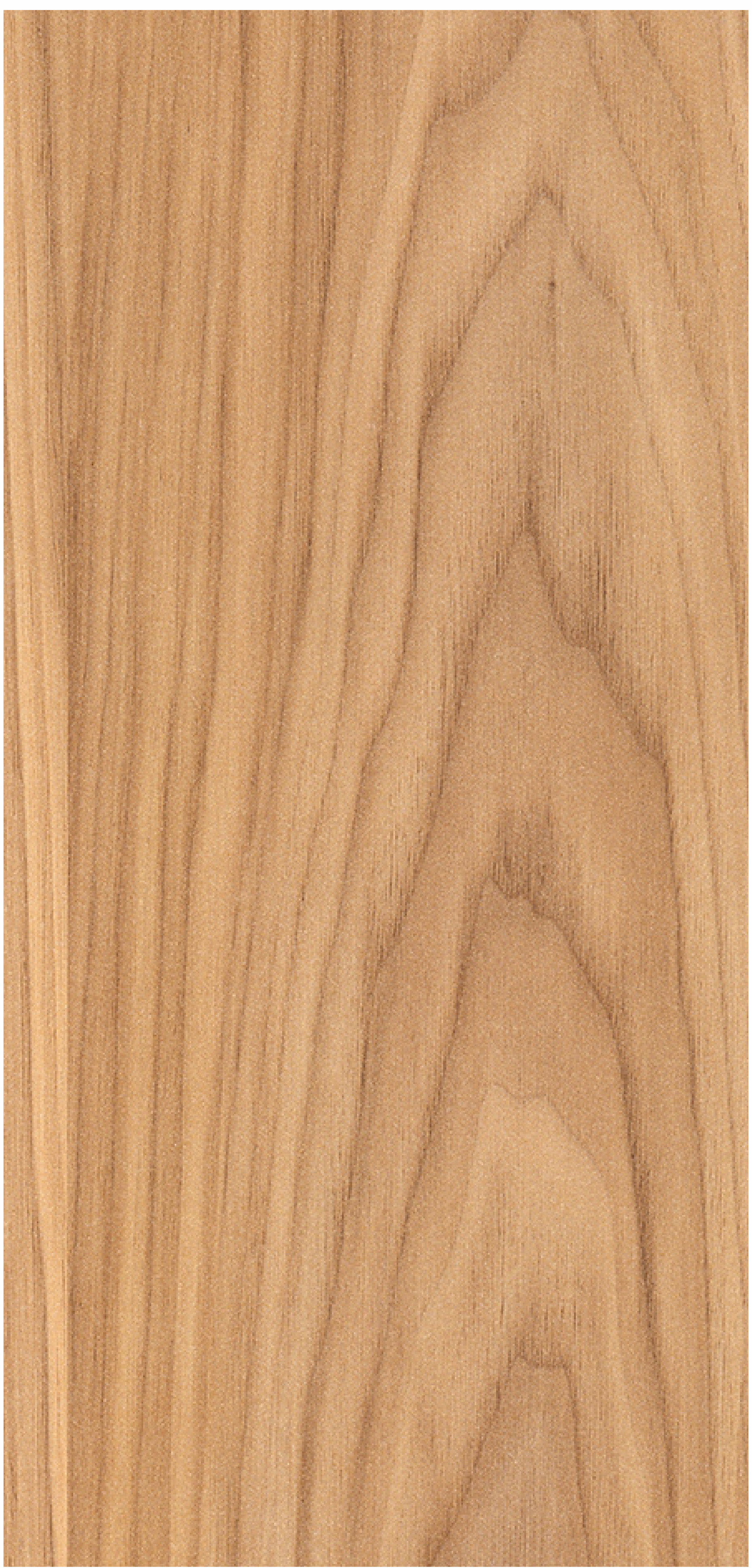 Brown Paper Dalton Wood 10005 Zero Oak decorative laminate swatch in the 10x4 ft sheet