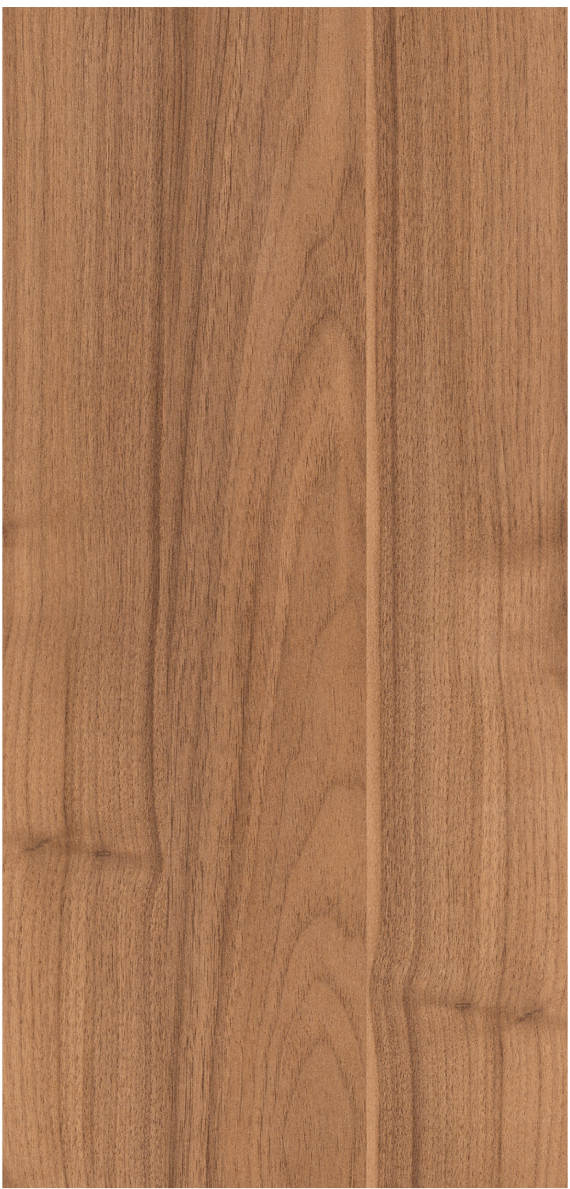 Brown Paper Sapped Walnut 1474 Zero Oak decorative laminate swatch in the 10x4 ft sheet