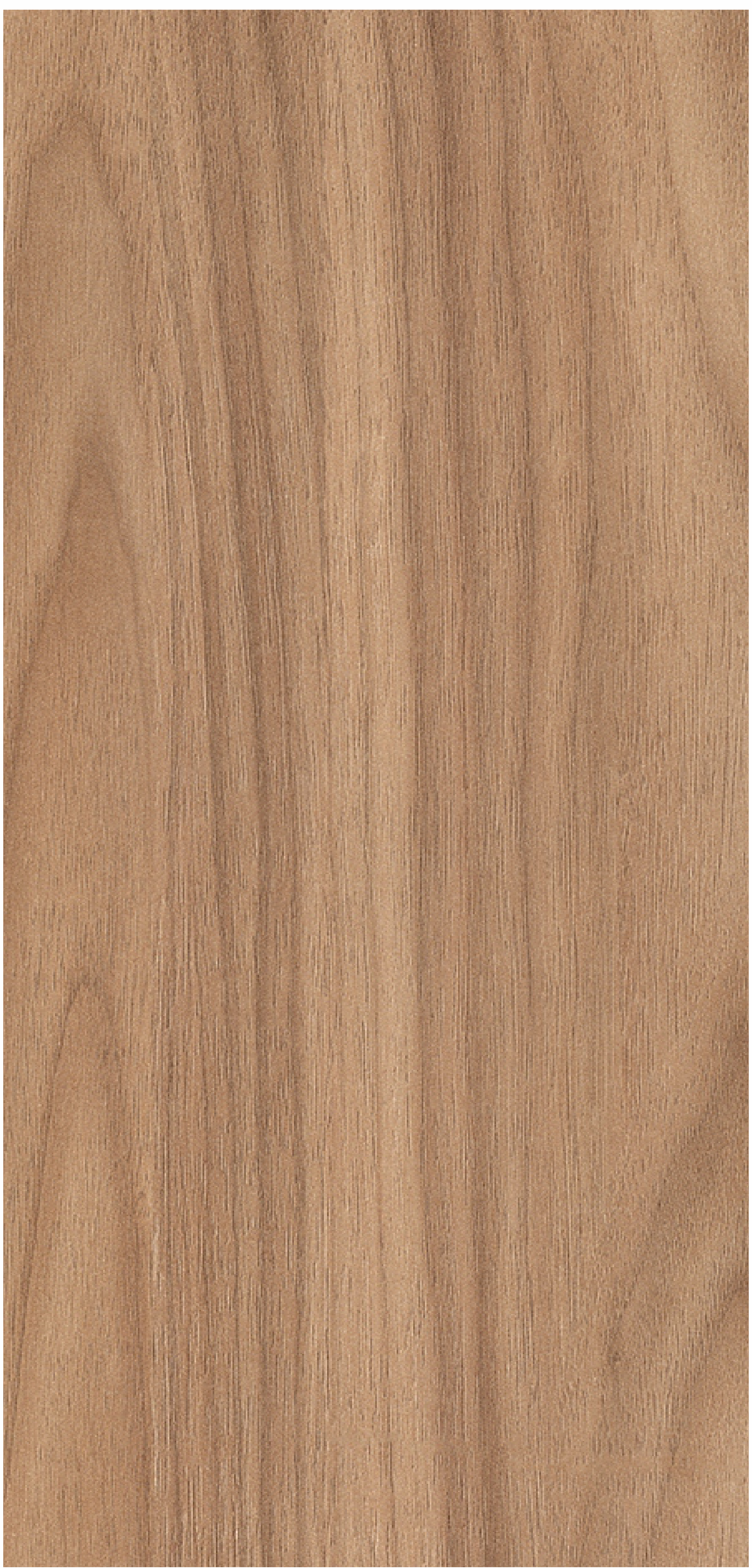 Brown Paper Titter Walnut 1528 Zero Oak decorative laminate swatch in the 10x4 ft sheet
