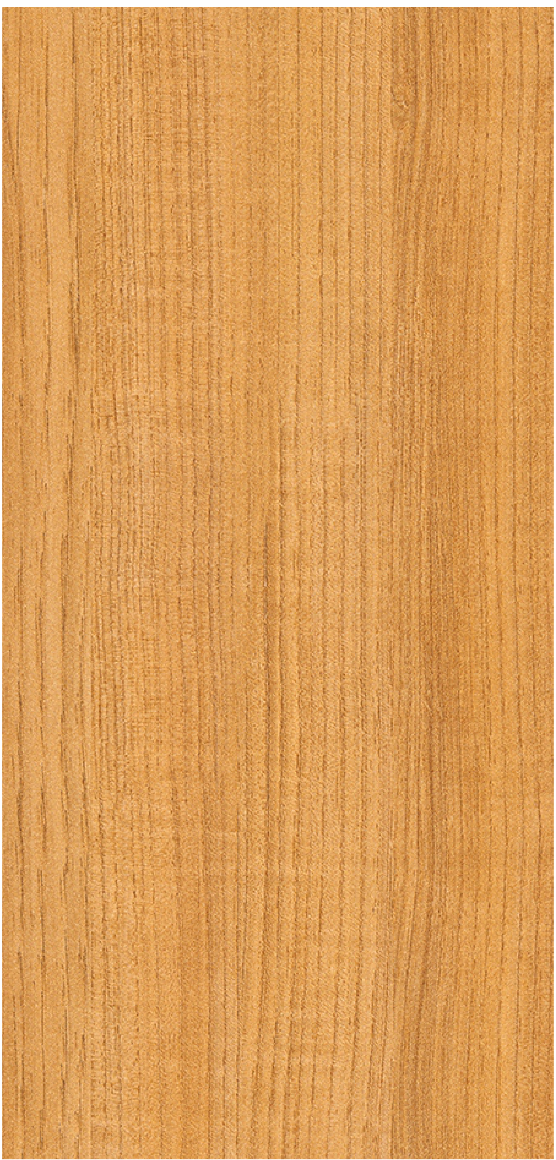 Brown Paper Columbian Ashwood 8109 Suede Finish decorative laminate swatch in the 10x4 ft sheet