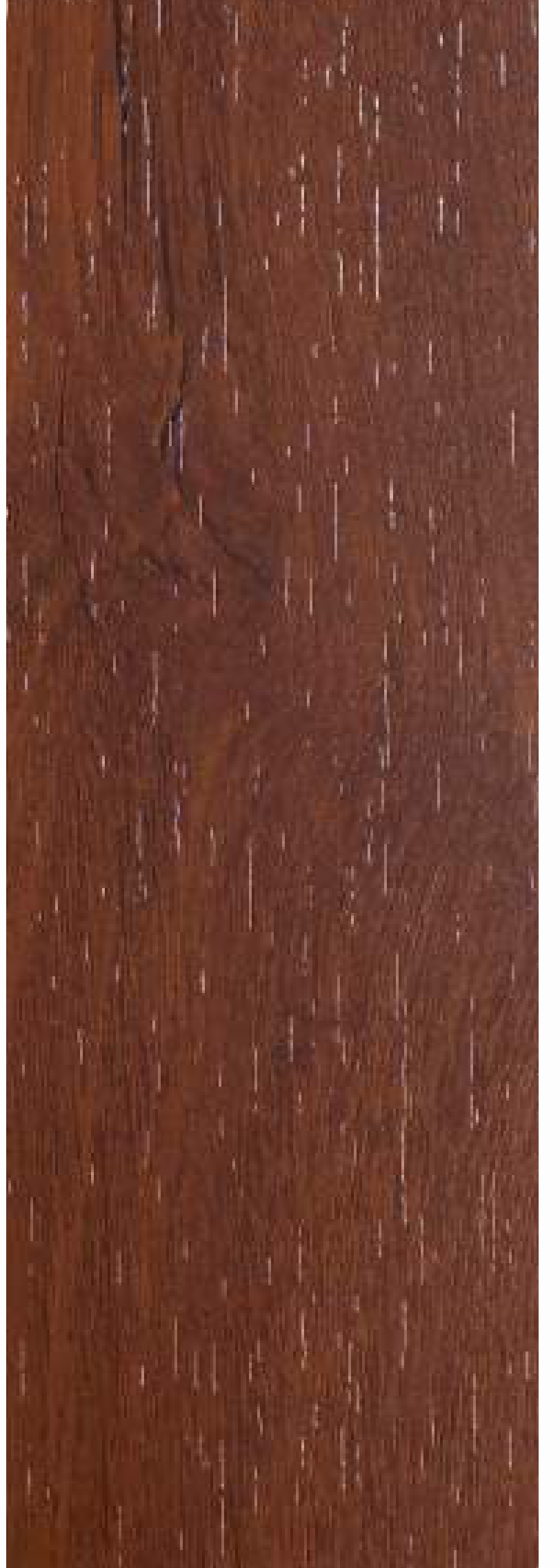 Brown Paper Arto Tropical Bronze Pine 1537 decorative laminate swatch