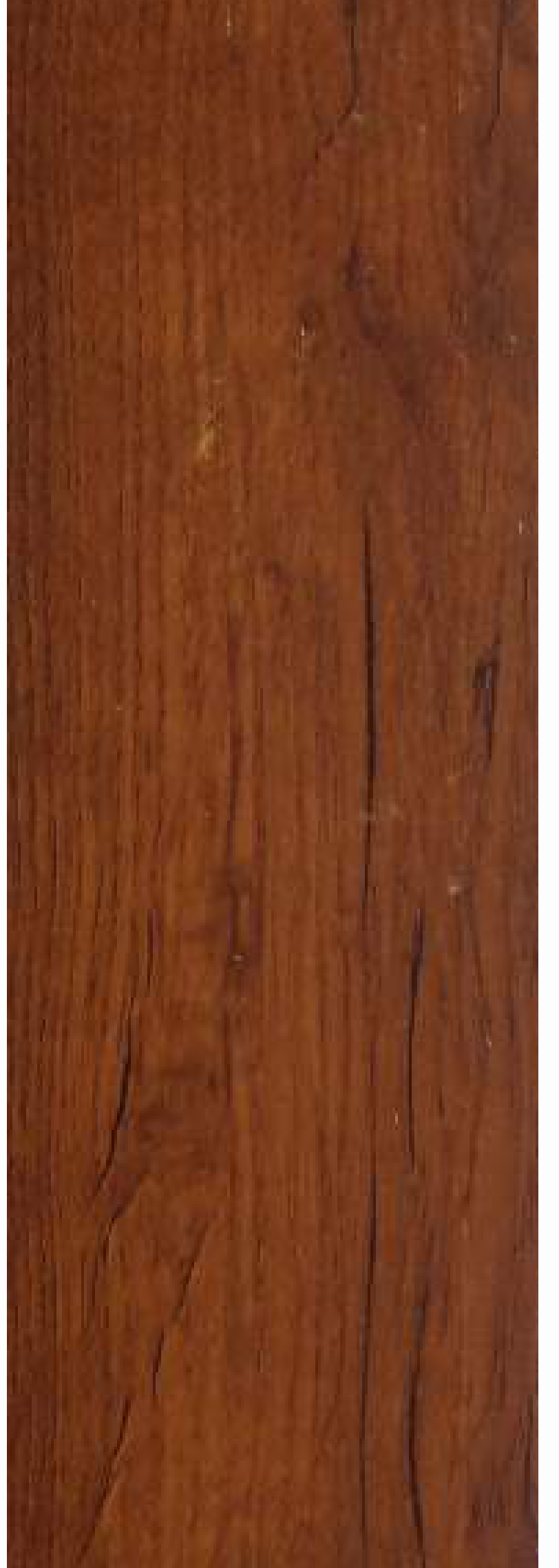 Brown Paper Arto Tropical Bronze Pine 1537 decorative laminate swatch