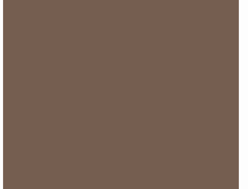 Brown Paper Arto Nutmeg 8090 decorative laminate swatch