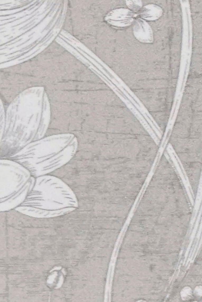 Brown Paper Artisan Humming Bird Grey DG 646 A-118 decorative laminate swatch
