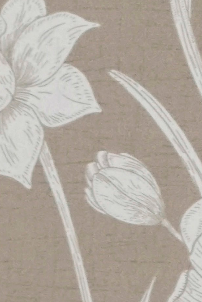 Brown Paper Artisan Humming Bird Brown DG 647 A-118 decorative laminate swatch