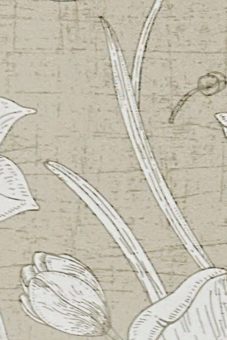 Brown Paper Artisan Humming Bird Clay DG 648 A-118 decorative laminate swatch
