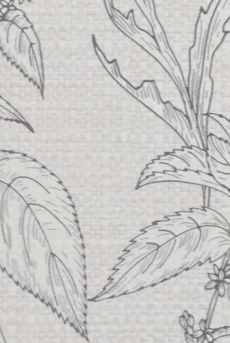 Brown Paper Artisan Classic Poppy Pale DG 652 A-118 decorative laminate swatch