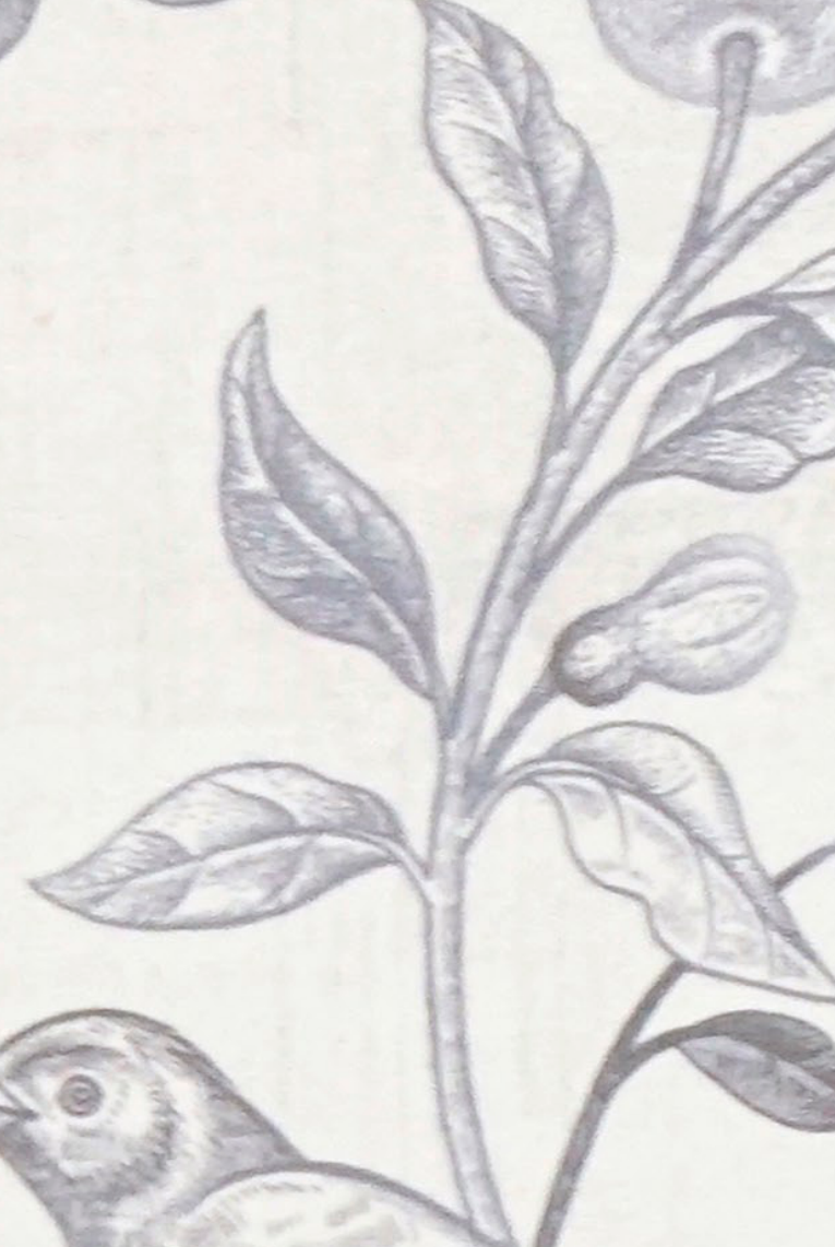 Brown Paper Artisan Birds & Blooms DG 653 A-118 decorative laminate swatch