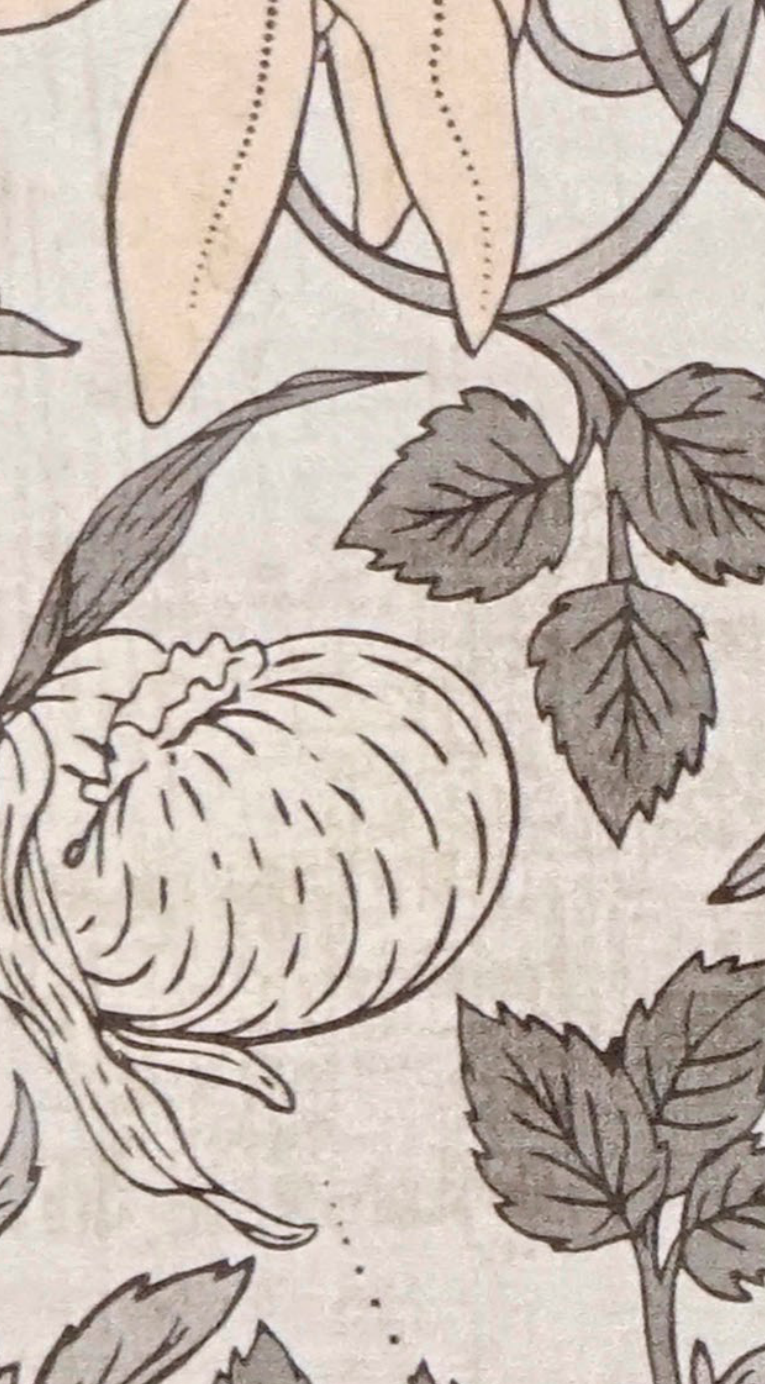 Brown Paper Artisan Rustic Vintage DG 655 A-118 decorative laminate swatch