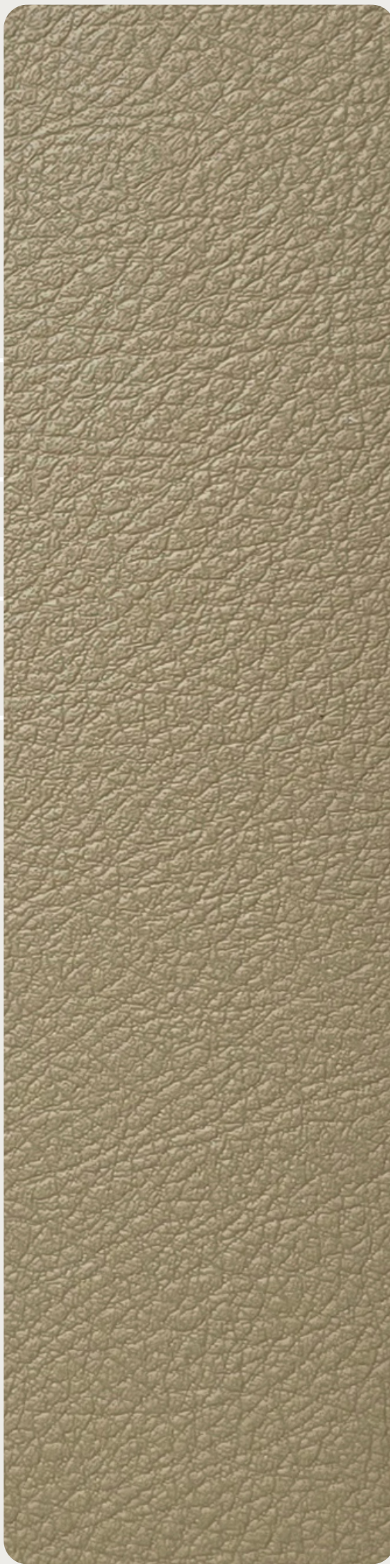 Brown Paper Cane Cappuccino 4142 A-197 decorative laminate swatch