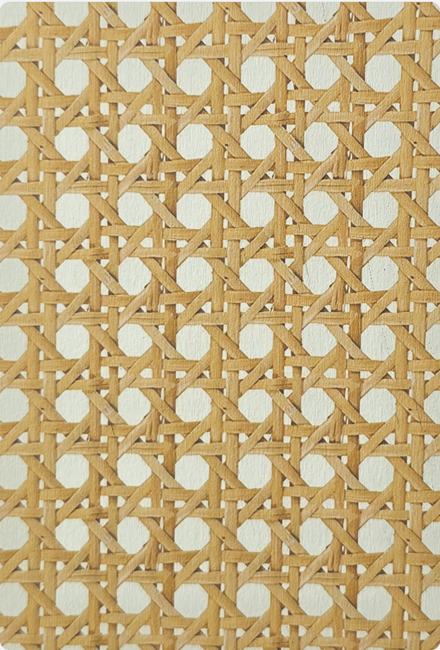 Brown Paper Cane Cross White Cane DG 176 A-118 decorative laminate swatch