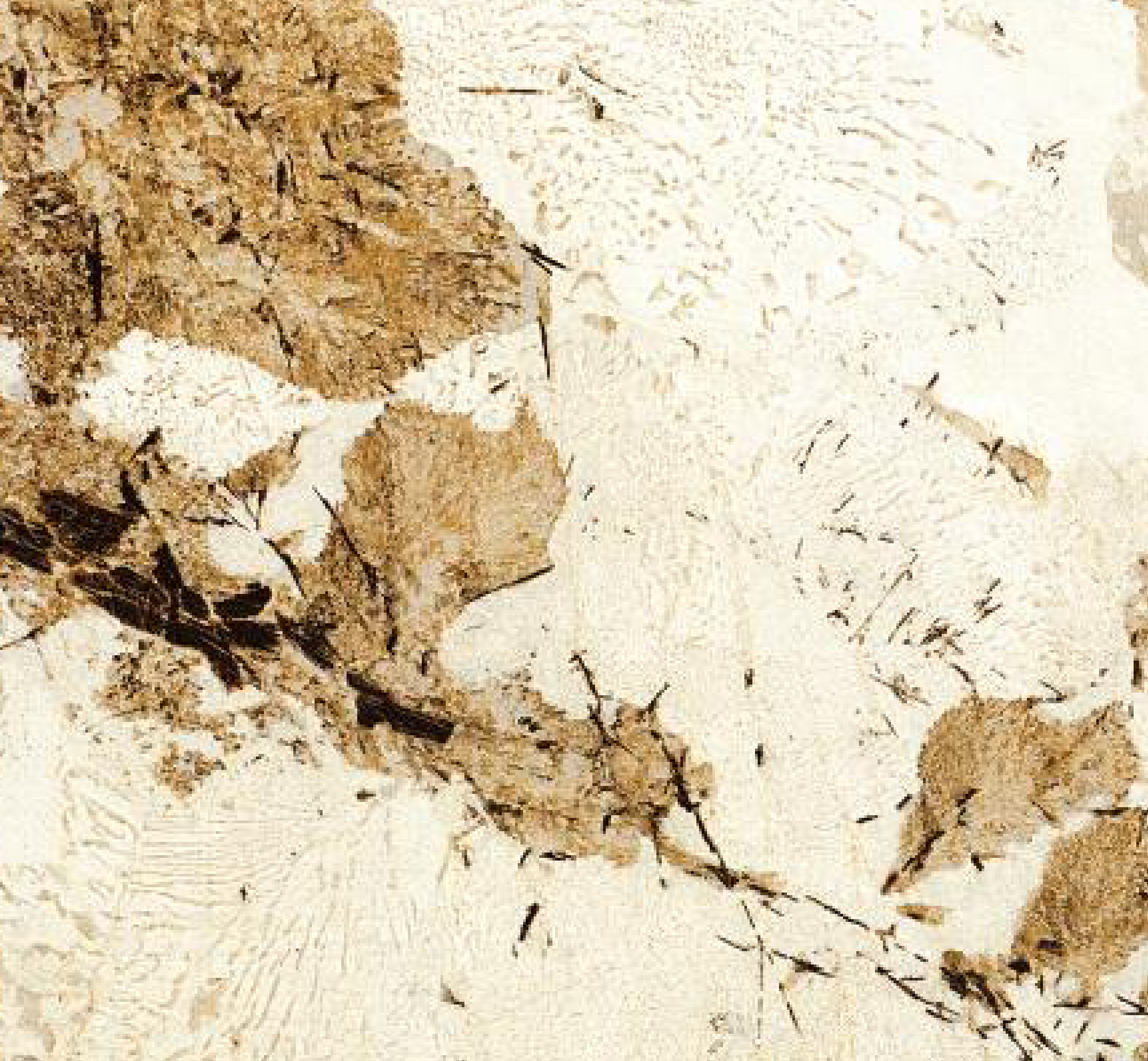 Brown Paper Cane and Wood 1533 A-121 decorative laminate swatch