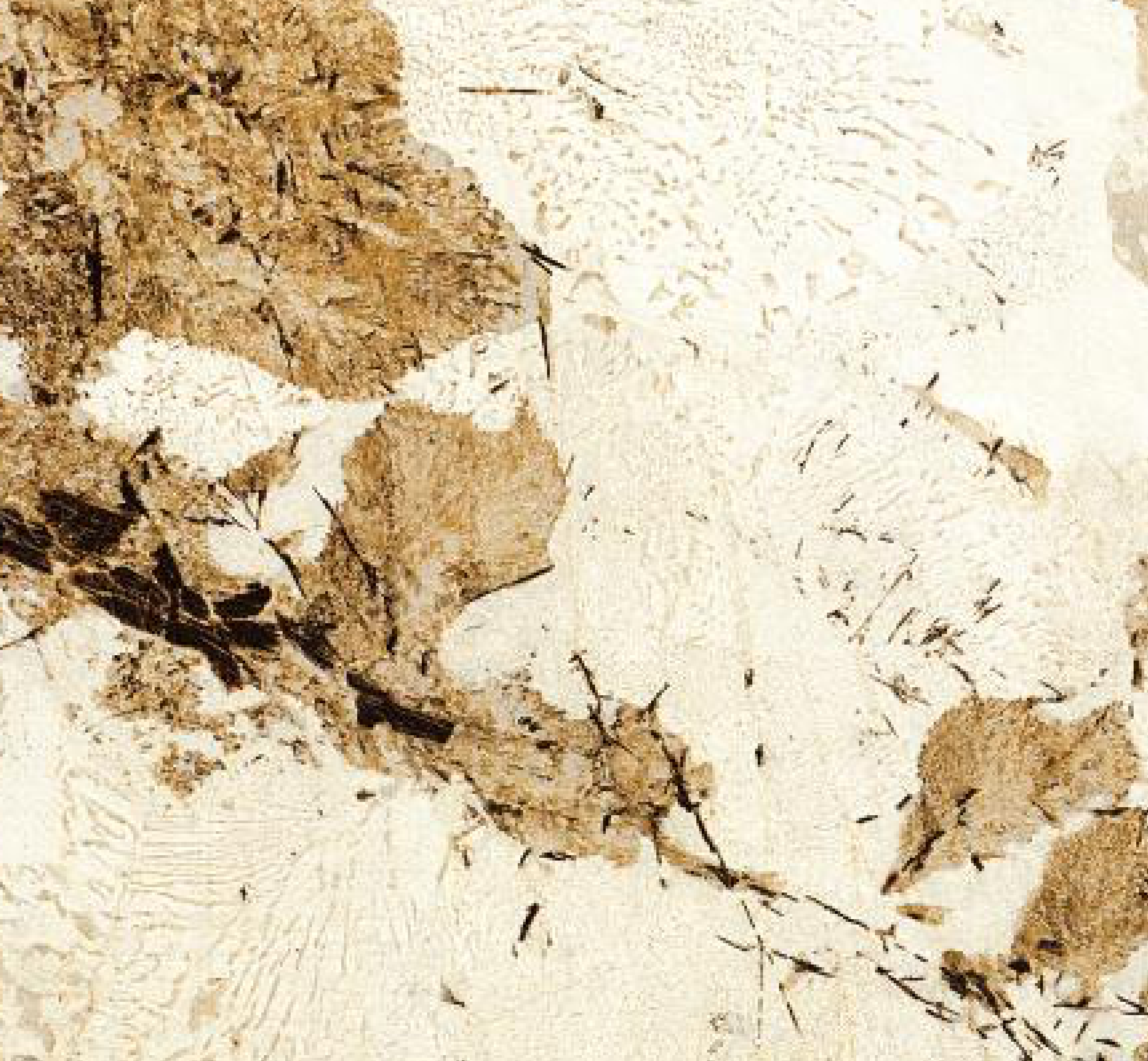 Brown Paper Cane and Wood 1533 A-121 decorative laminate swatch