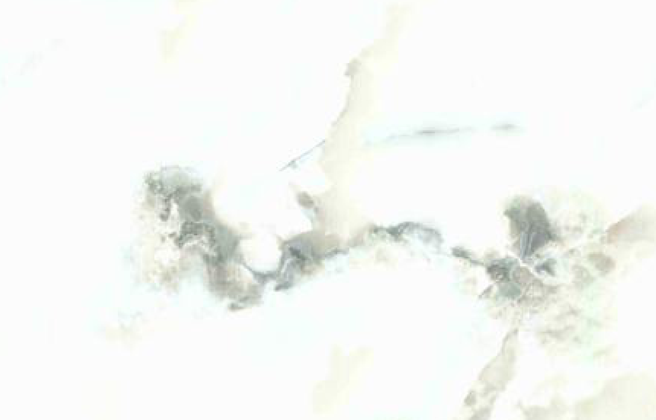 Brown Paper Cane and Wood 9367 A-14 decorative laminate swatch