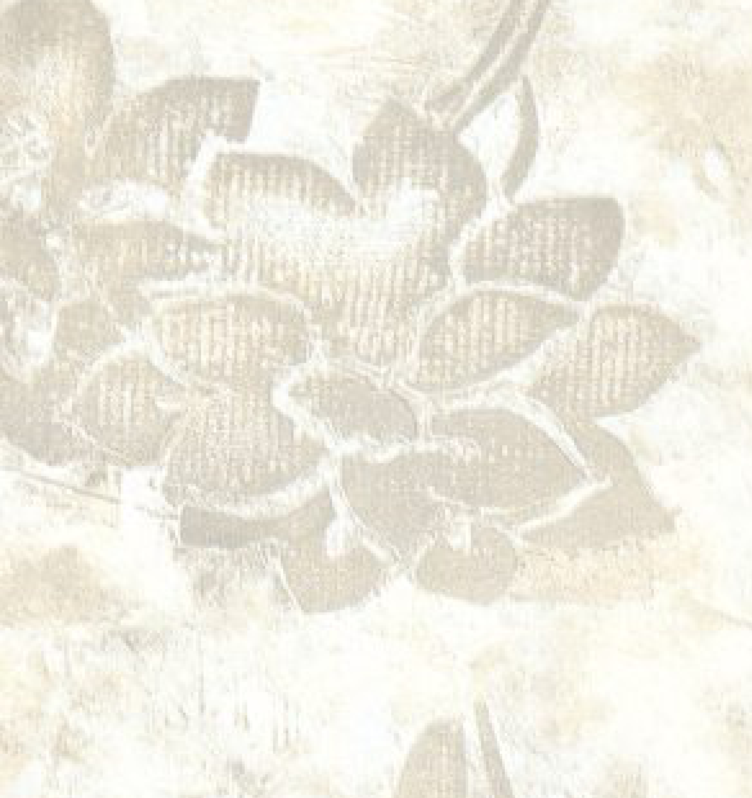 Brown Paper Royal Gold Mistry Dreams Cream 1437 A-152 decorative laminate swatch
