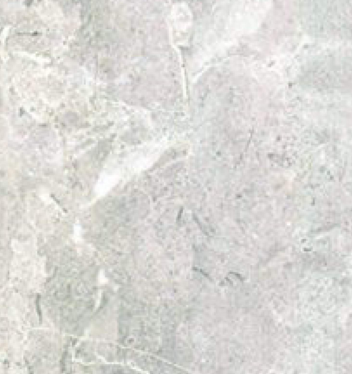 Brown Paper Royal Gold Tremble Marble 1520 A-175 decorative laminate swatch