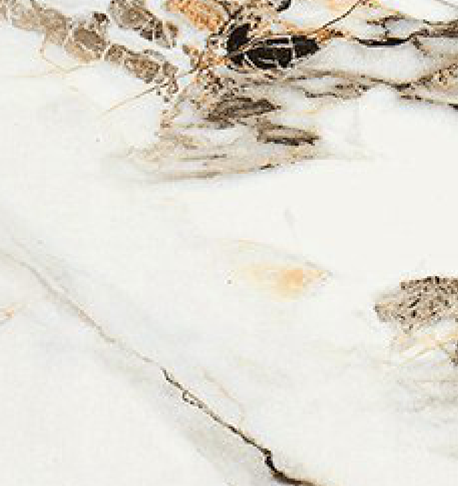 Brown Paper Royal Gold Beige Crystals 5341 A-155 decorative laminate swatch