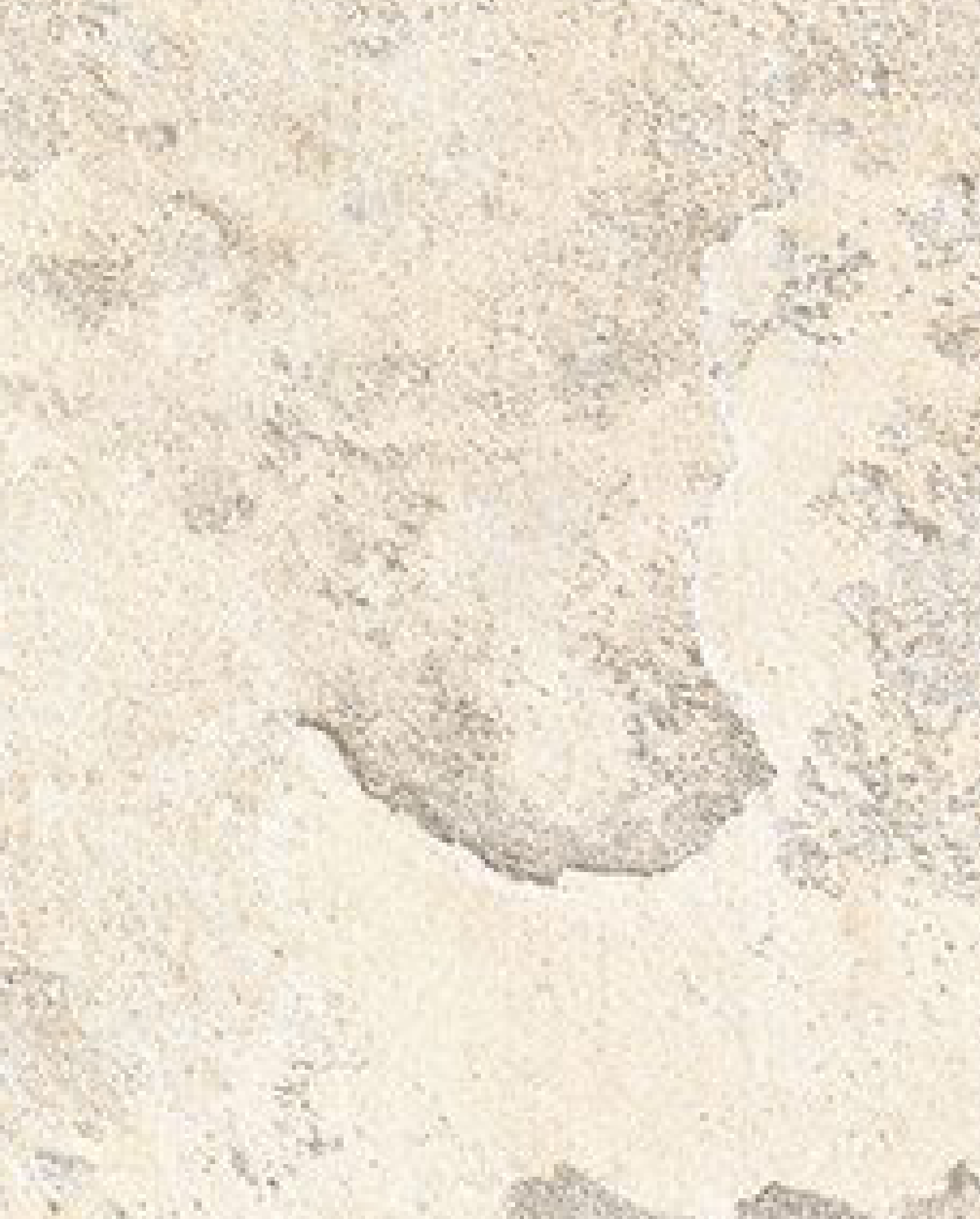 Brown Paper Royal Gold Metallic Oxid Snow 8102 A-175 decorative laminate swatch