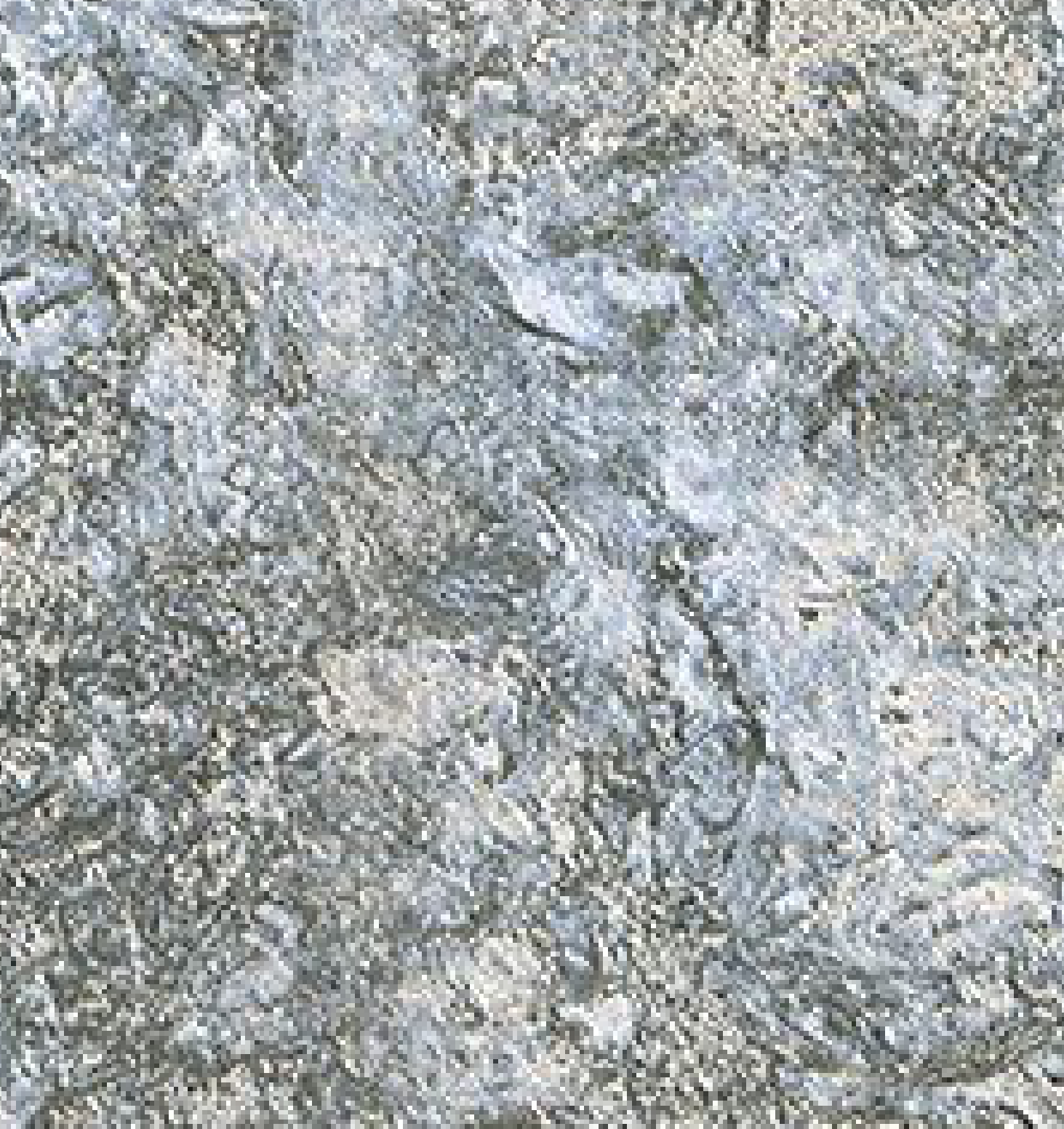 Brown Paper Royal Gold Alaska White 8129 A-155 decorative laminate swatch