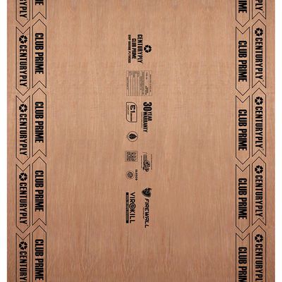 Centuryply Club Prime 8 ft. x 4 ft. 19 mm BWP/Marine Plywood Brown Wood Natural Laminate - Centuryply