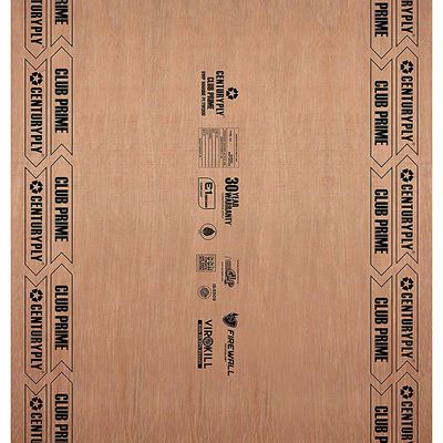 Centuryply Club Prime 8 ft. x 4 ft. 9 mm BWP/Marine Plywood Brown Wood Natural Laminate - Centuryply