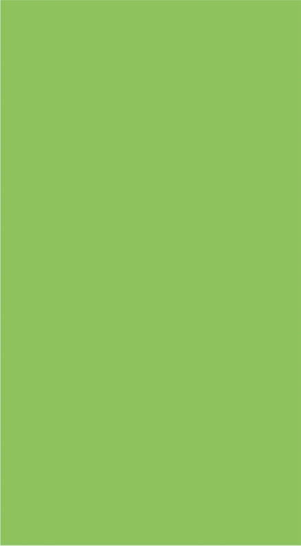 Green plain laminate with textured finish and uniform color tone