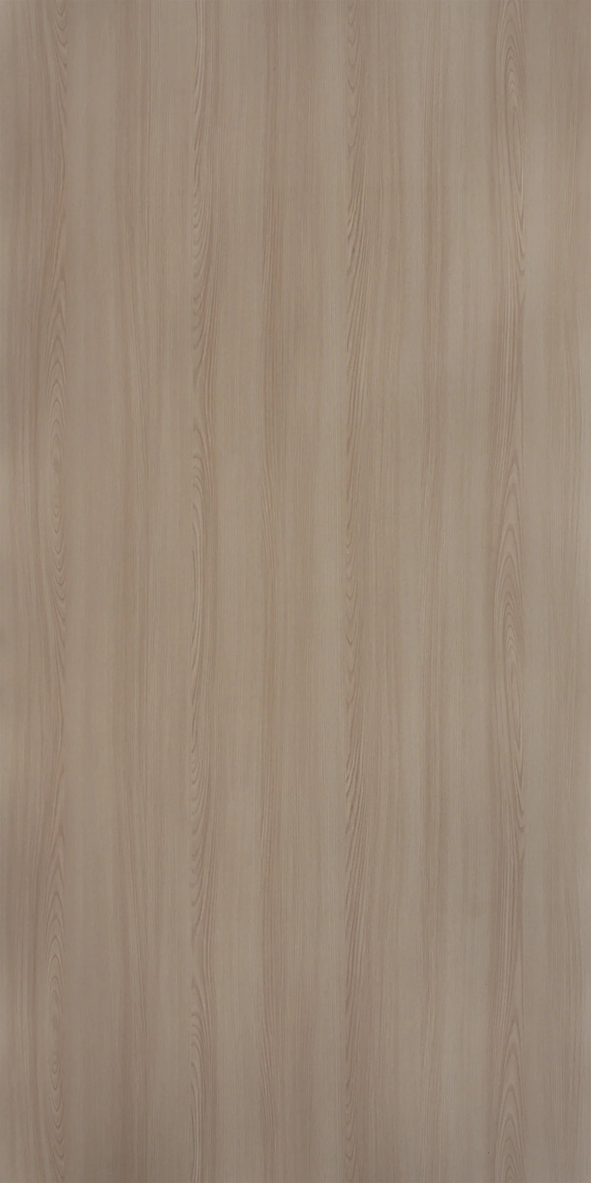 Tasmania Ash Beige Wood Texture Laminate