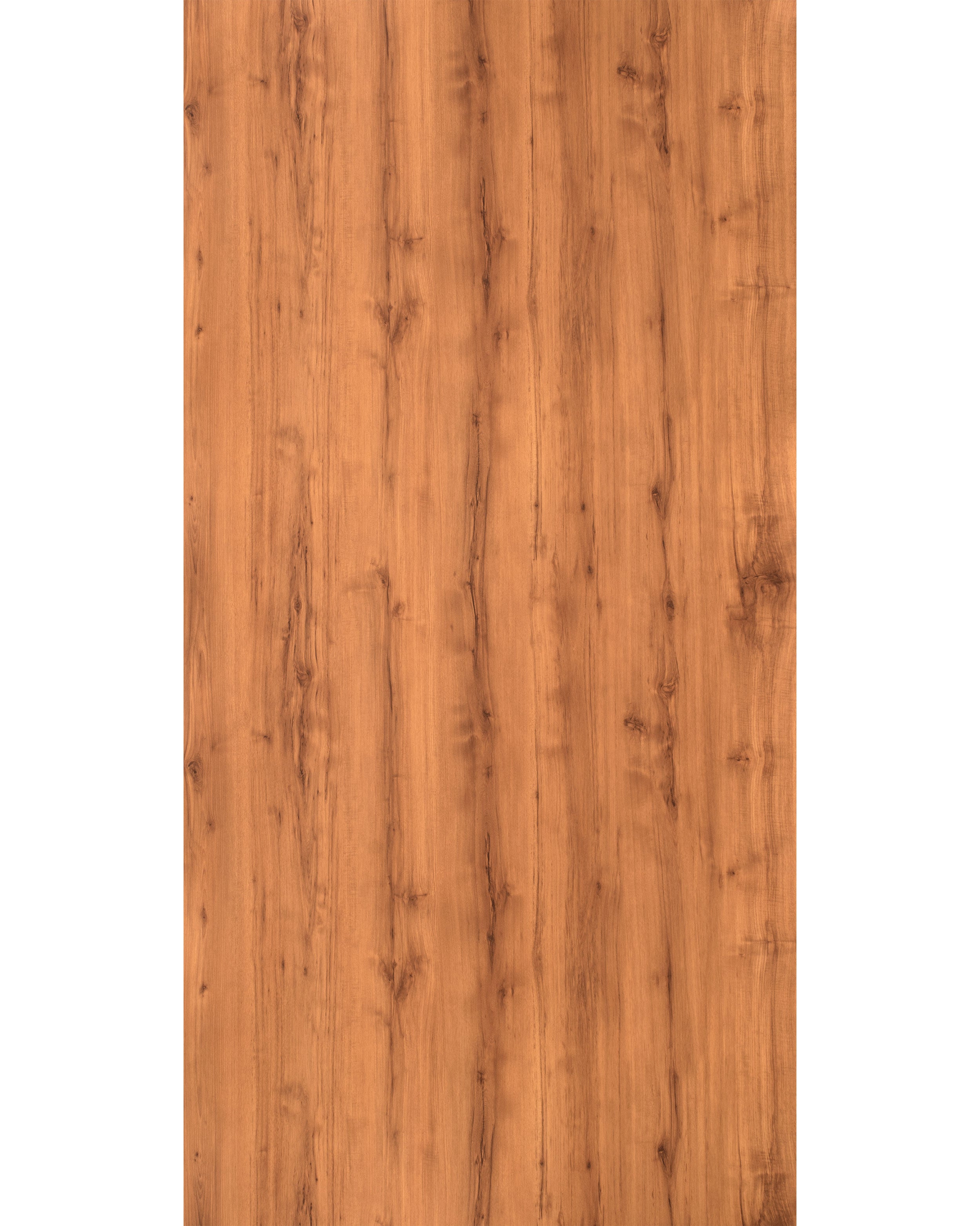 Ocean Tree - GR 94042 Brown Wood Texture Laminate - Dorby mica