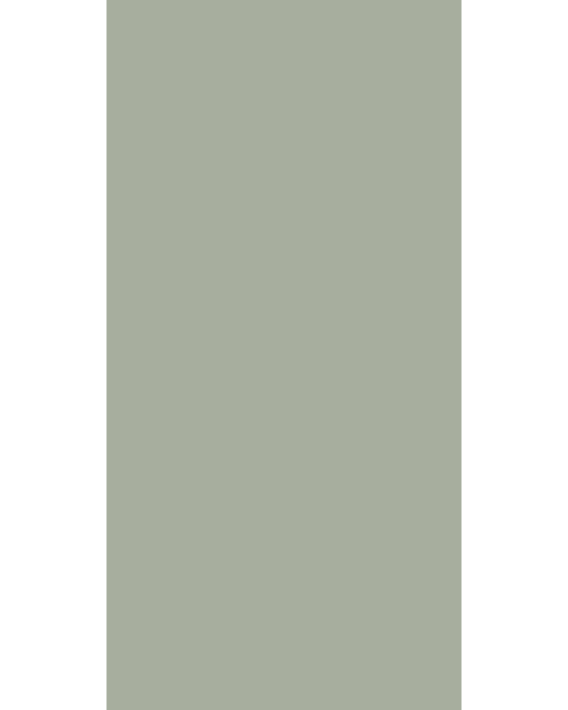 Desert Sage - HG 162 Green Plain Colors High Gloss Laminate - Dorby mica