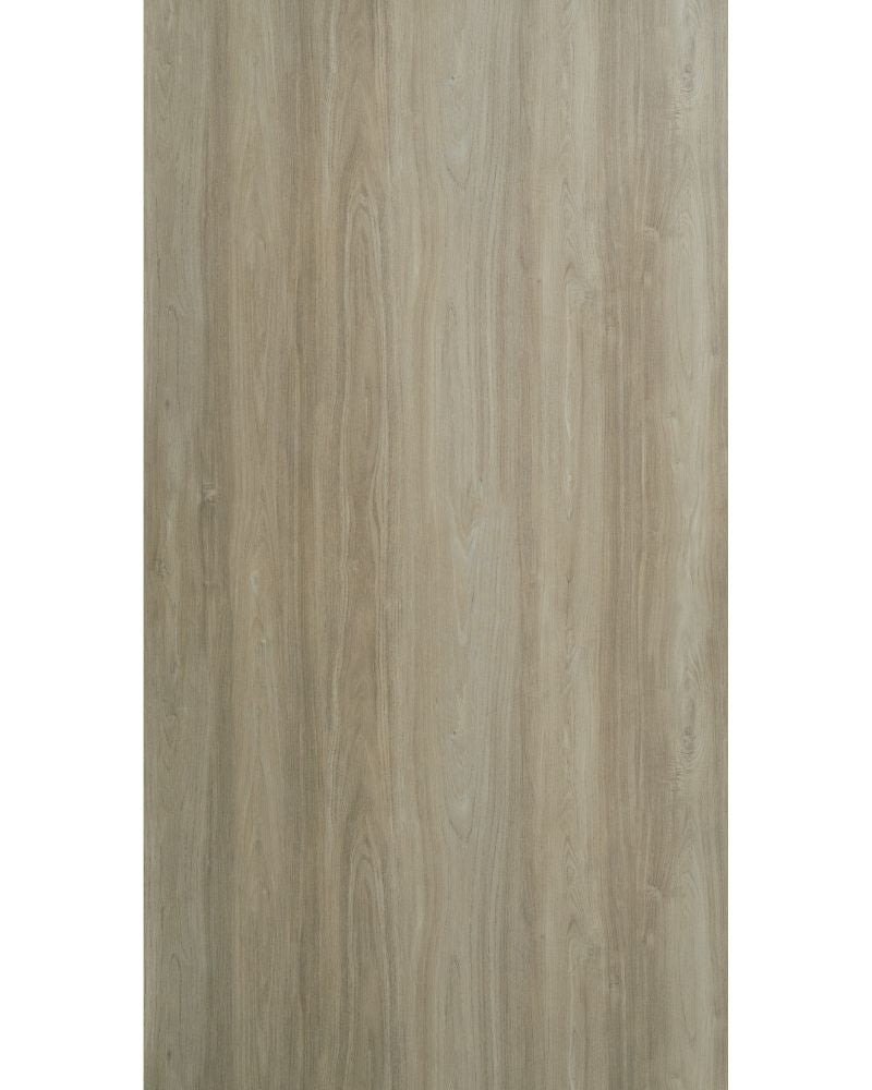 Canyon Ash - HG 81137 Grey Wood High Gloss Laminate - Dorby mica