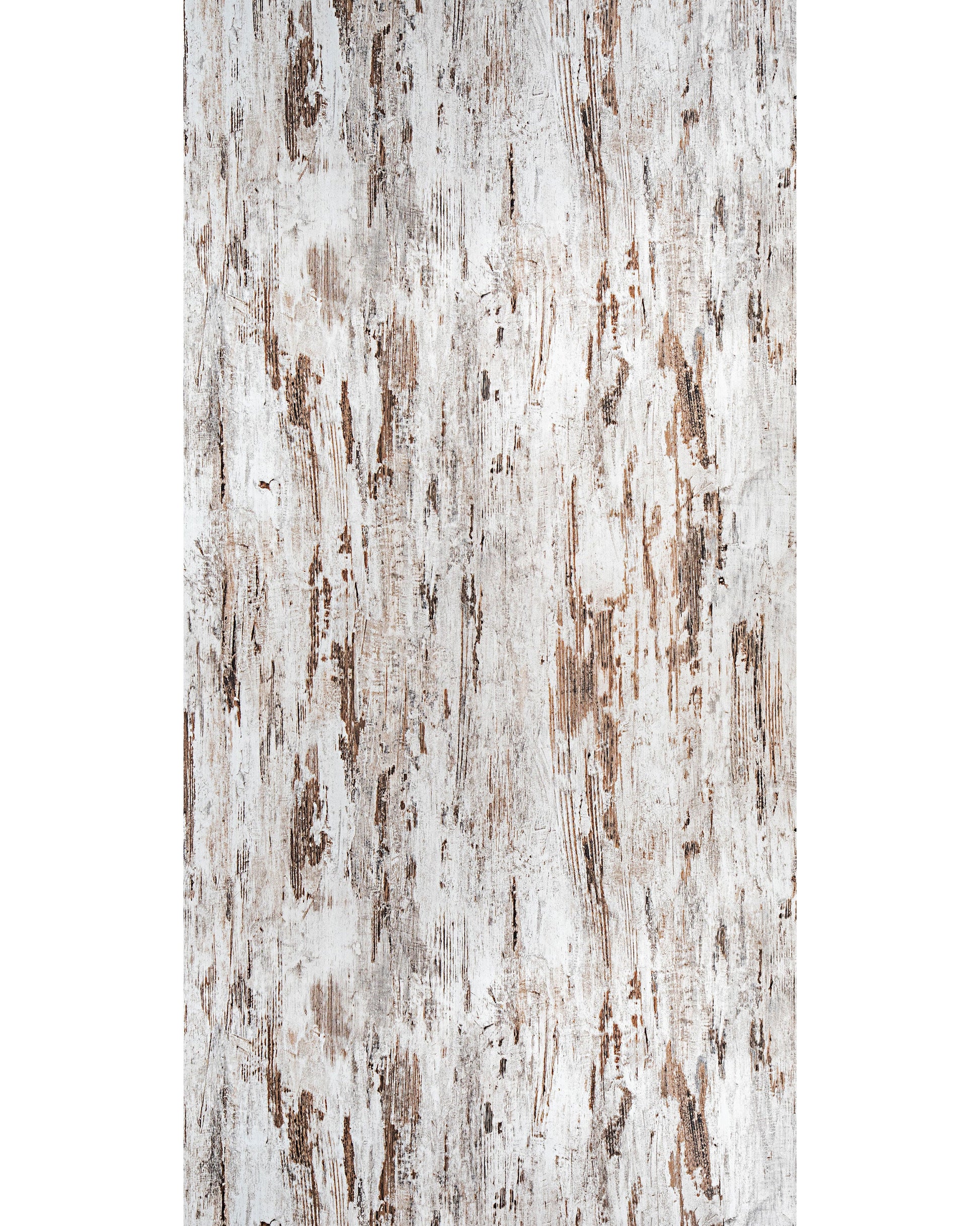 Weathered Tree - HG 9013 White Wood High Gloss Laminate - Dorby mica