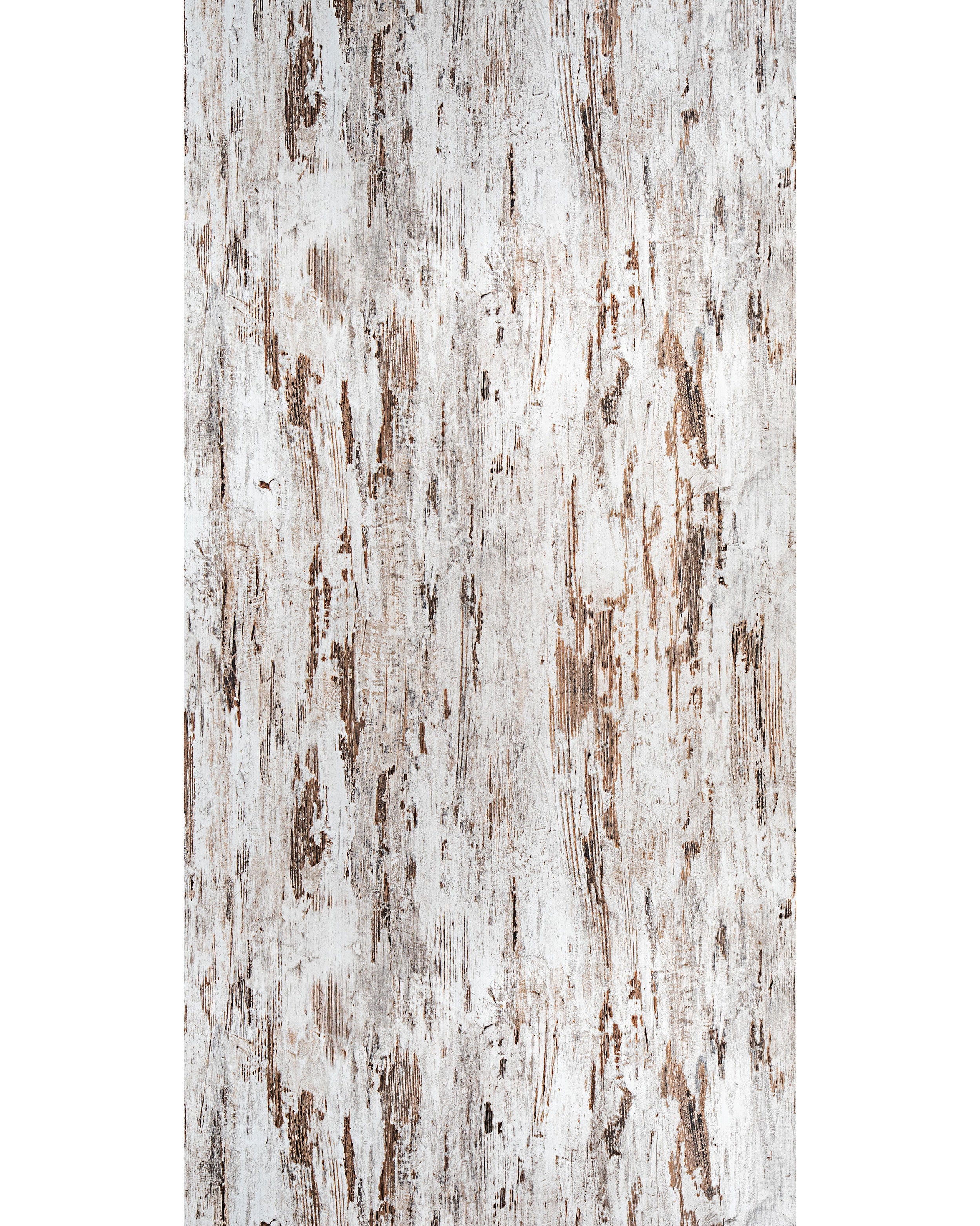 Weathered Tree - HG 9013 White Wood High Gloss Laminate - Dorby mica